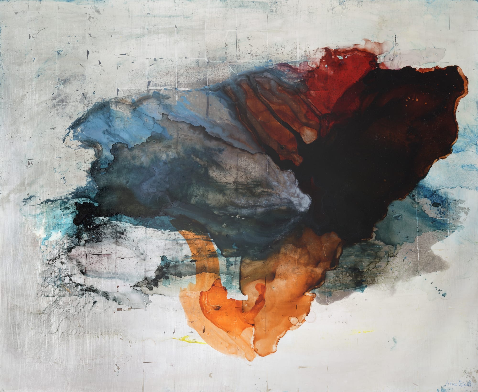 Natural Harmonies by Alice Cescatti