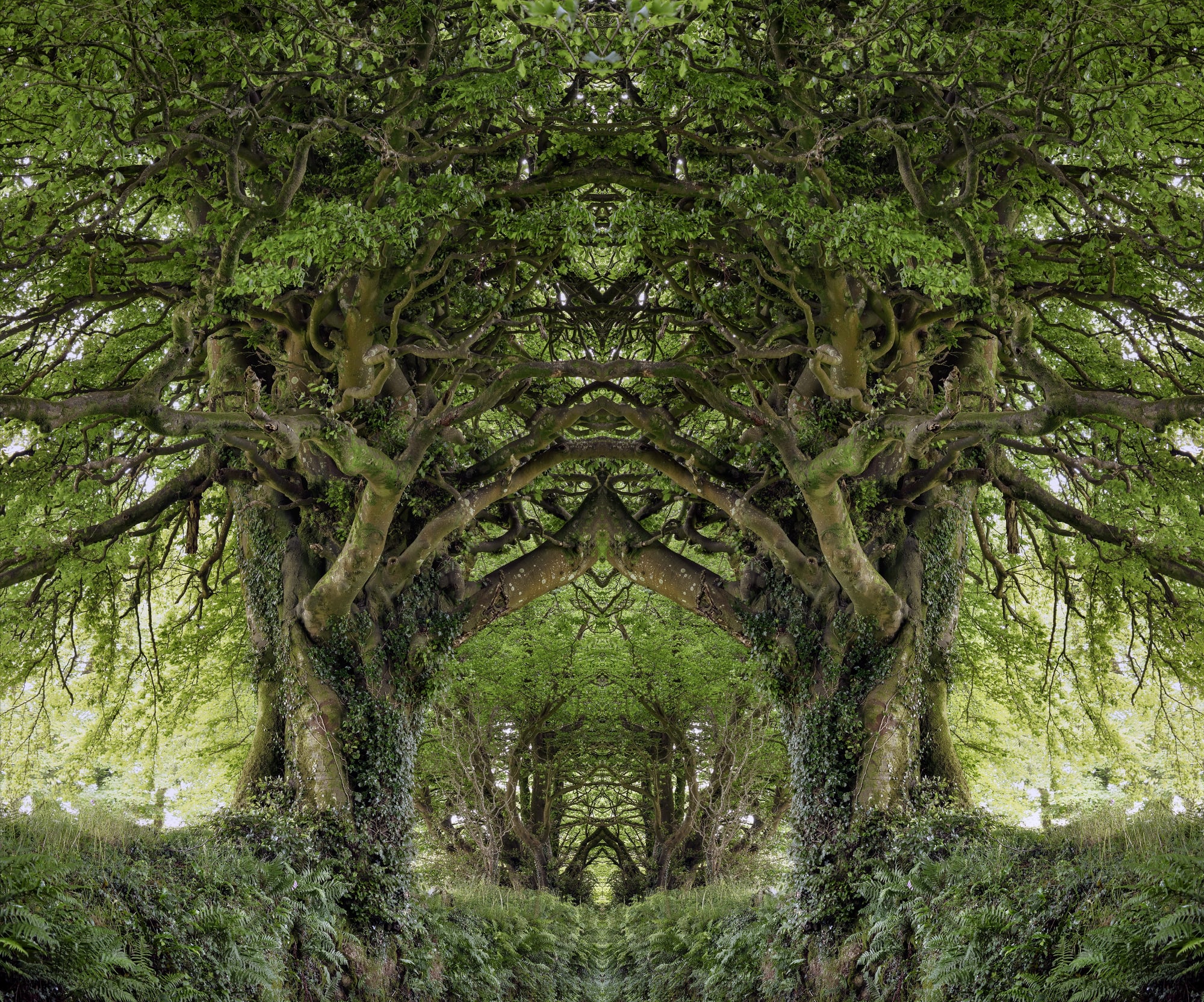 Oliver Barnett, Arbolith