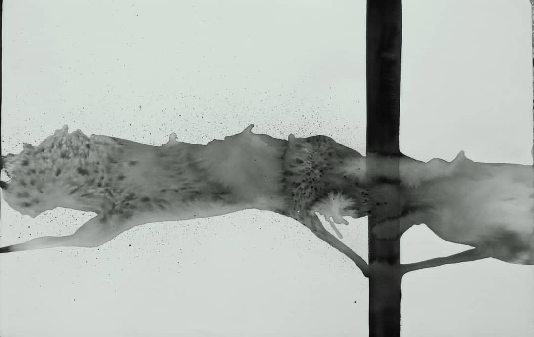 Irving Vera, Bestia en el espejo, 2020