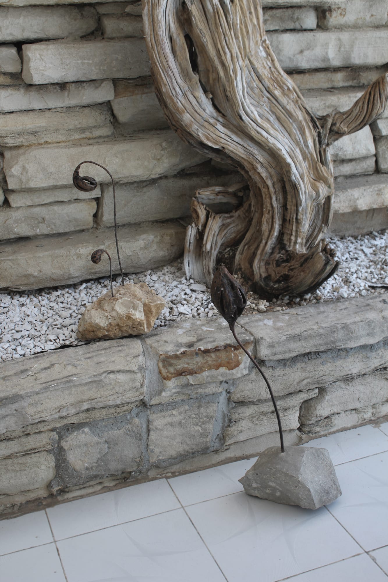 Dania González, Jardín, 2017