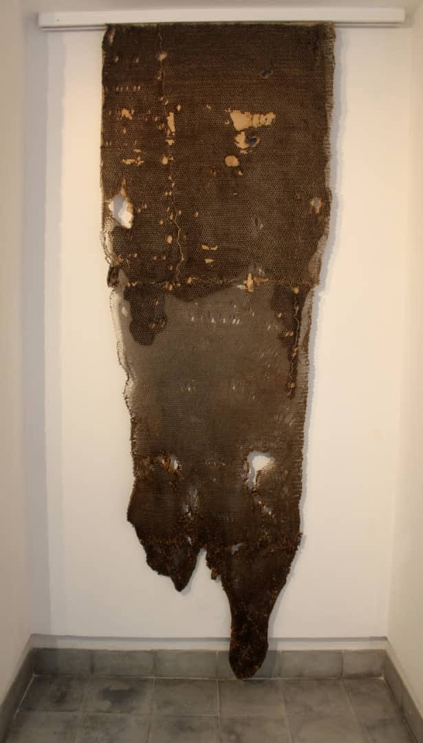 Dania González, Mímesis, 2014-20