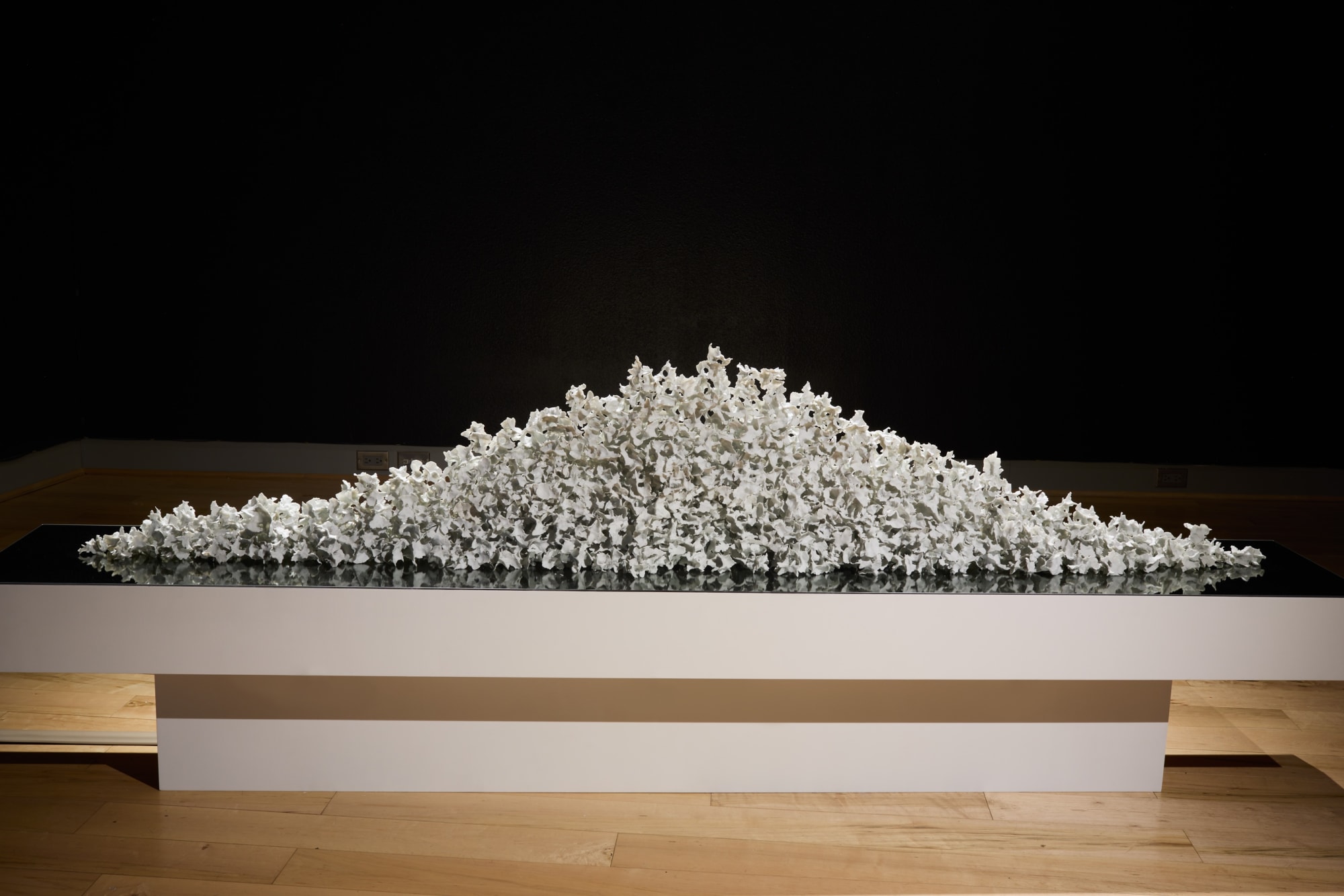 Shomit Barua & Christine Cassano: Degrees of Granularity