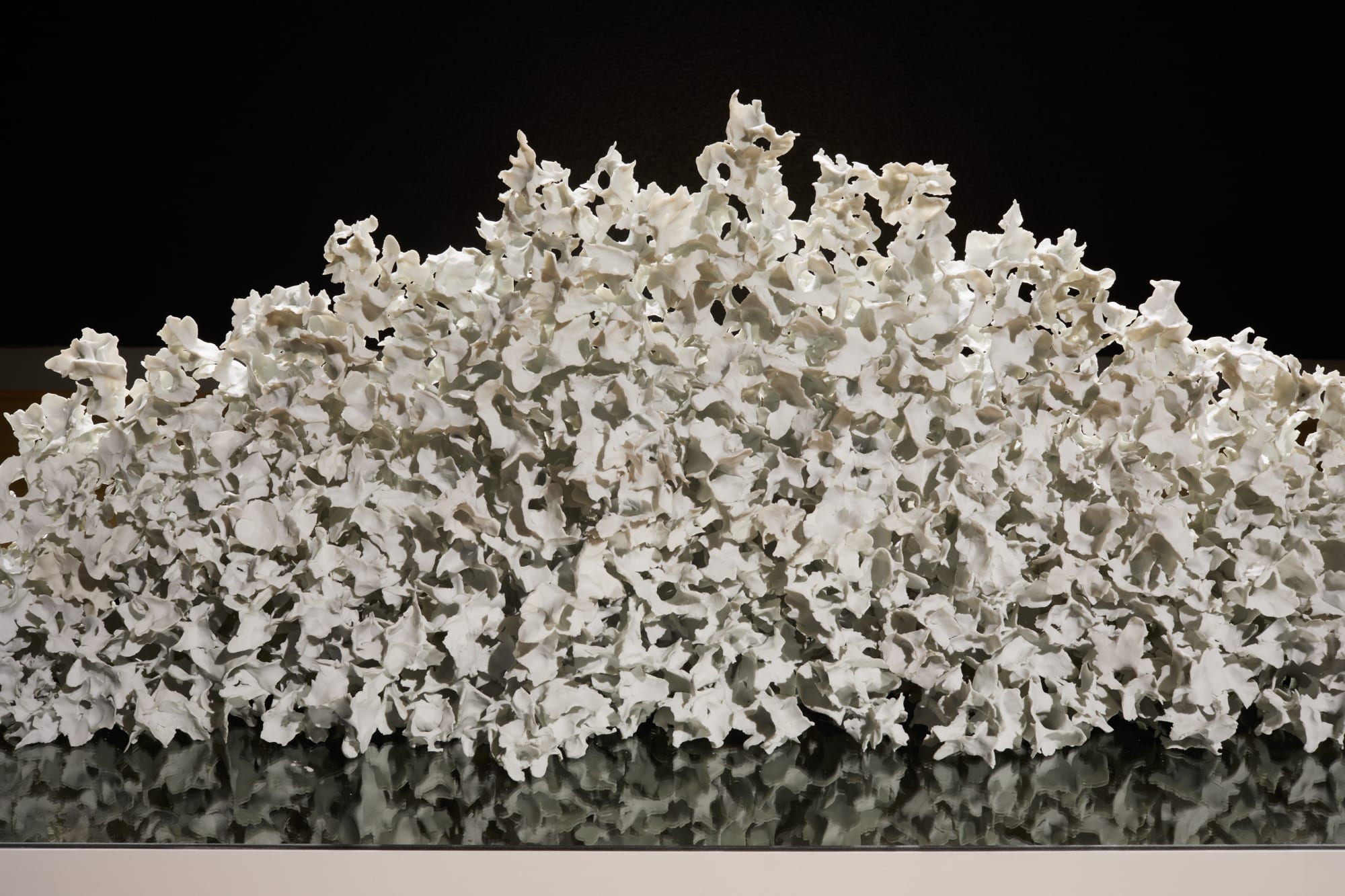 Shomit Barua & Christine Cassano: Degrees of Granularity