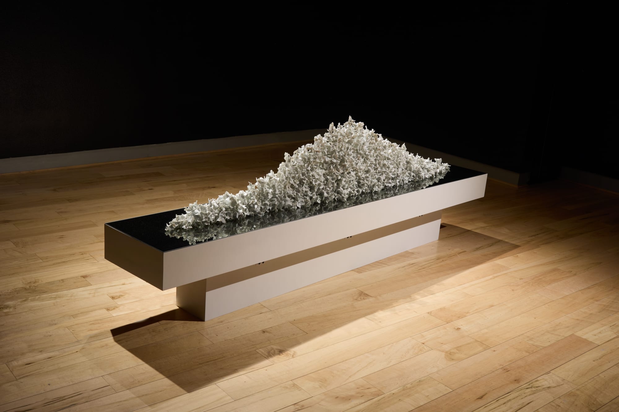 Shomit Barua & Christine Cassano: Degrees of Granularity