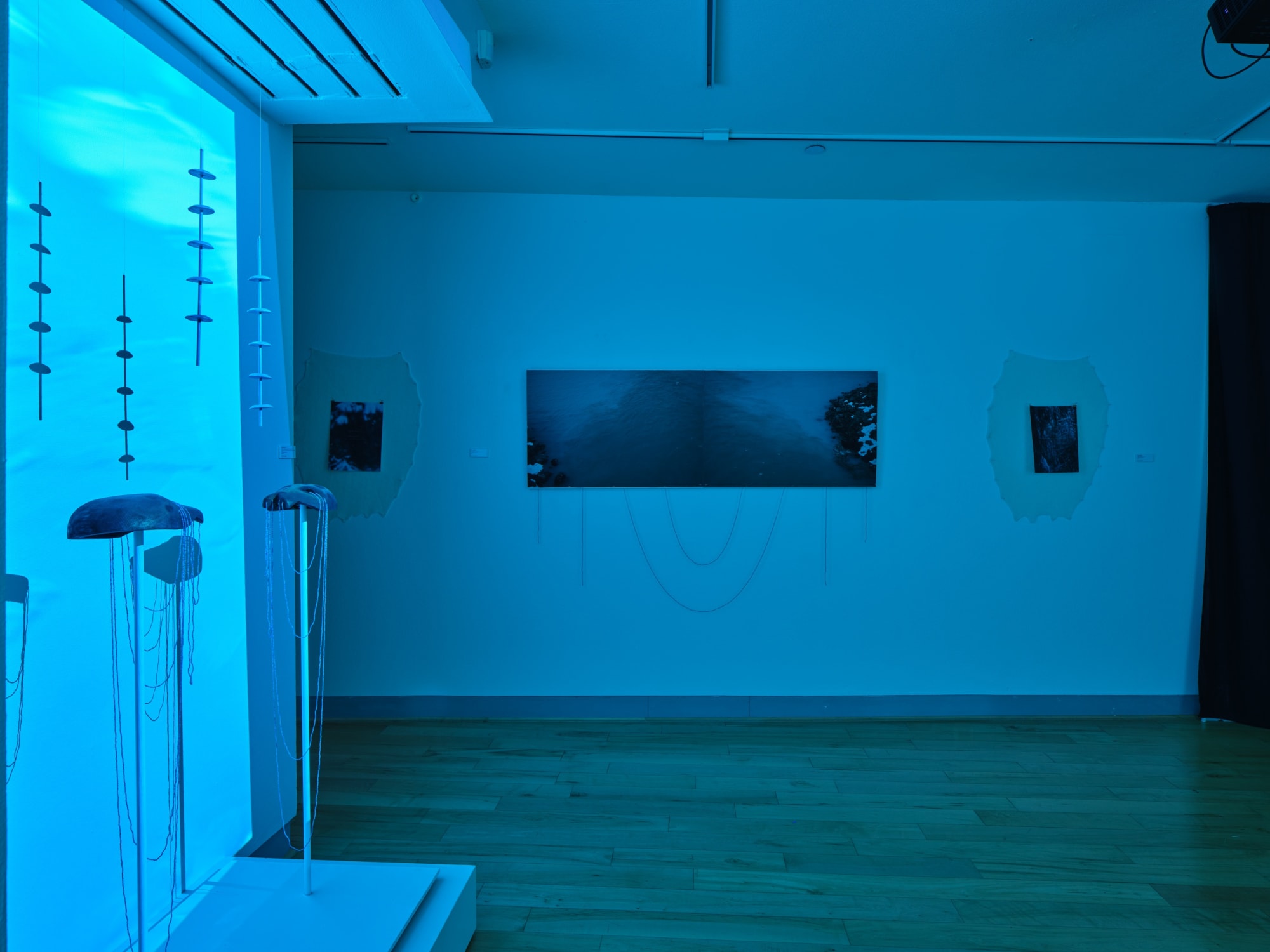 We've Been Gathering Places: 2024 IAIA MFA in Studio Arts Thesis Exhibition