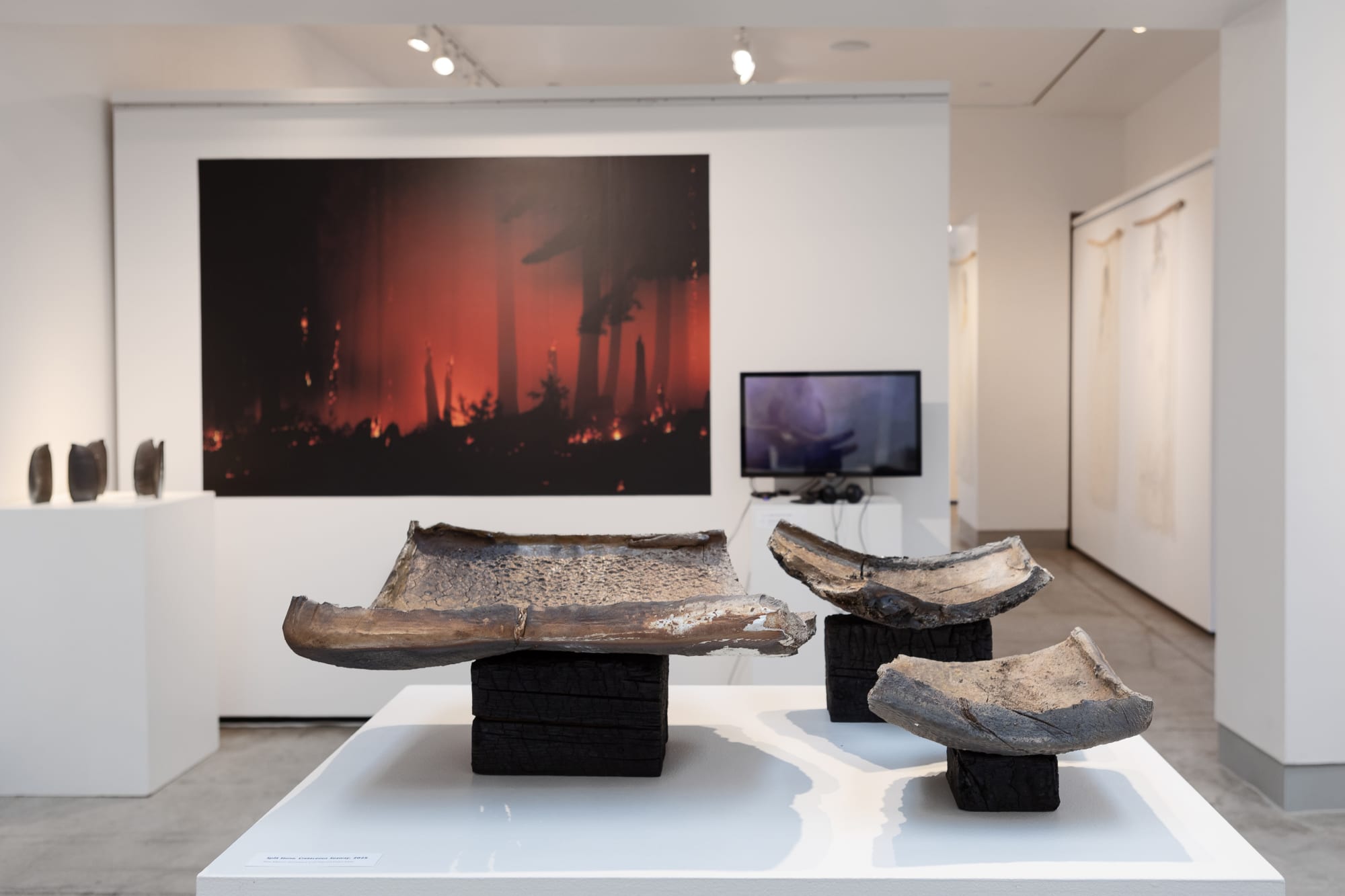 Markings from Fire: Avi Farber