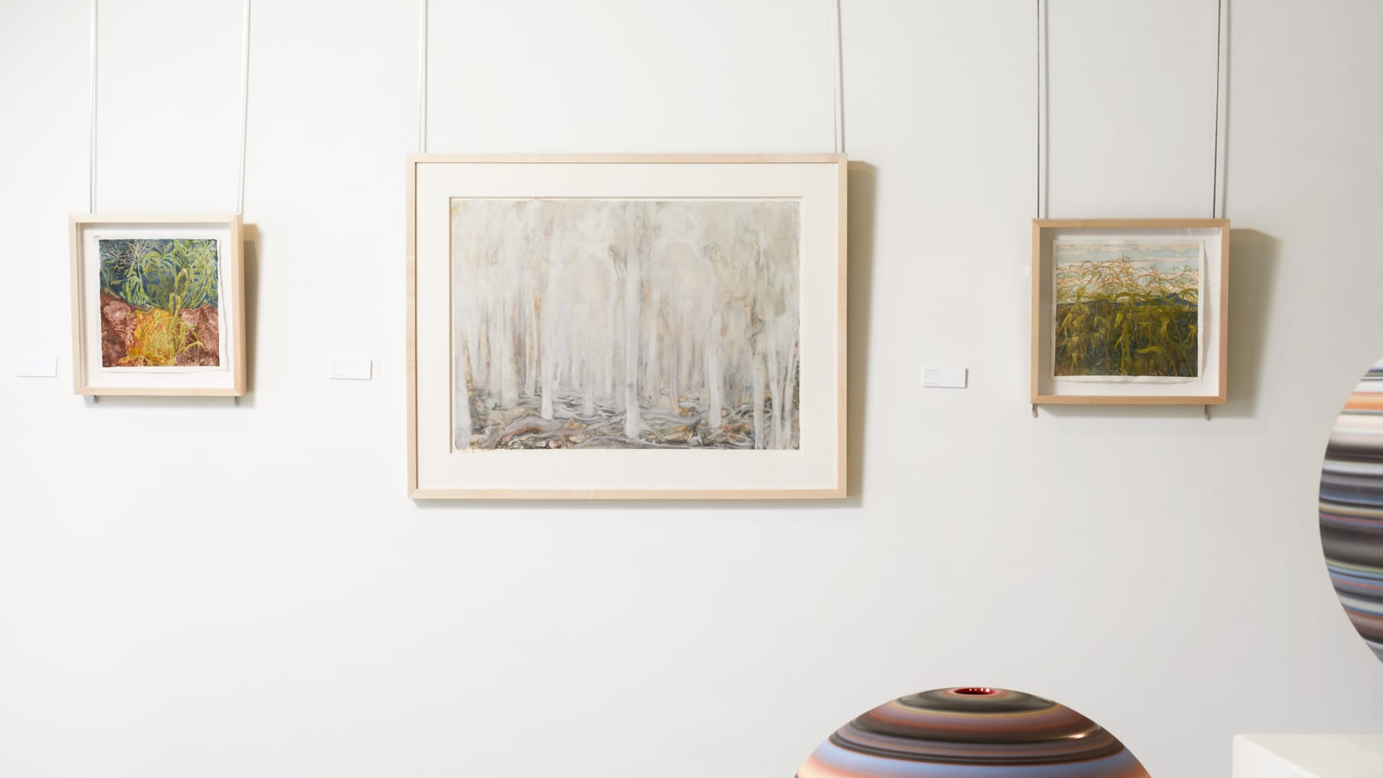 Carolyn Riman: Plant People