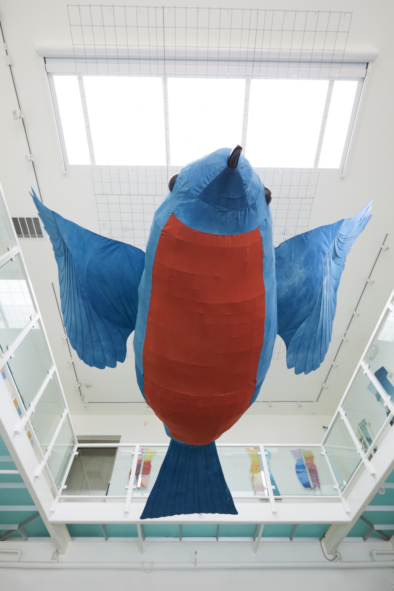 Thais Mather: Western Blue