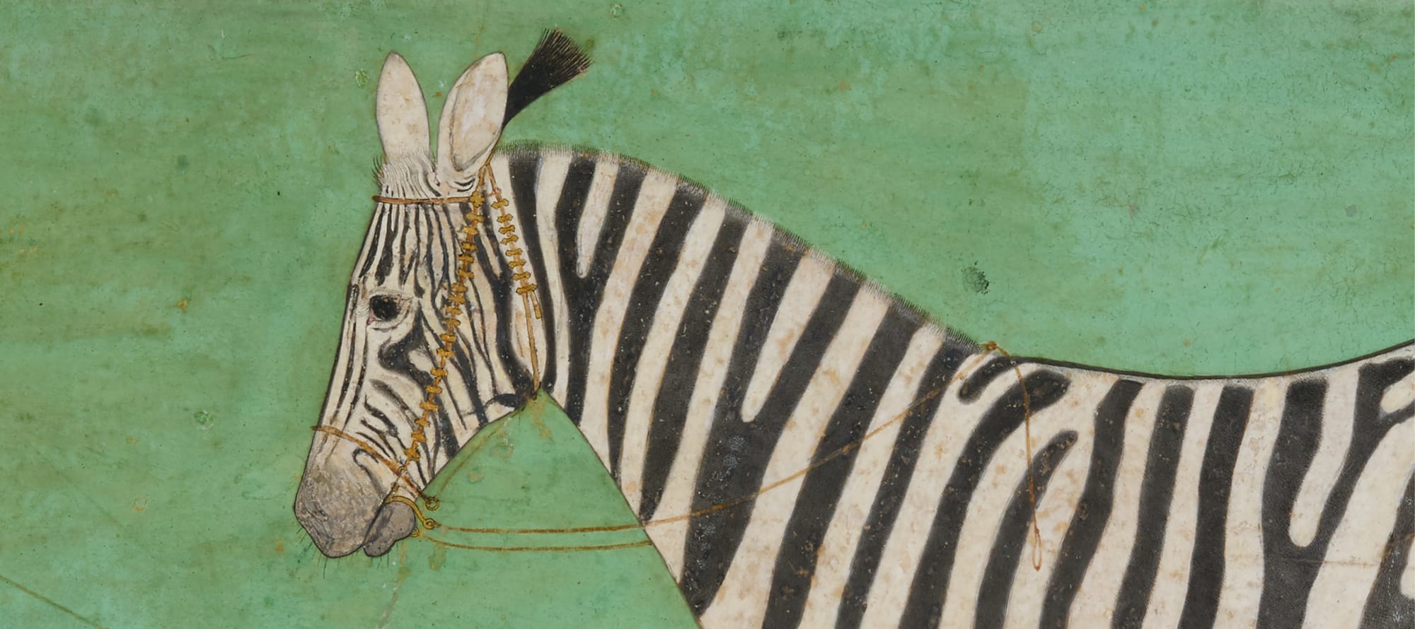 India's Fascination with the Natural World