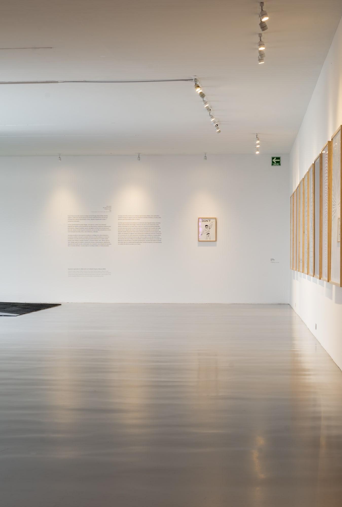 David Shrigley (2019)