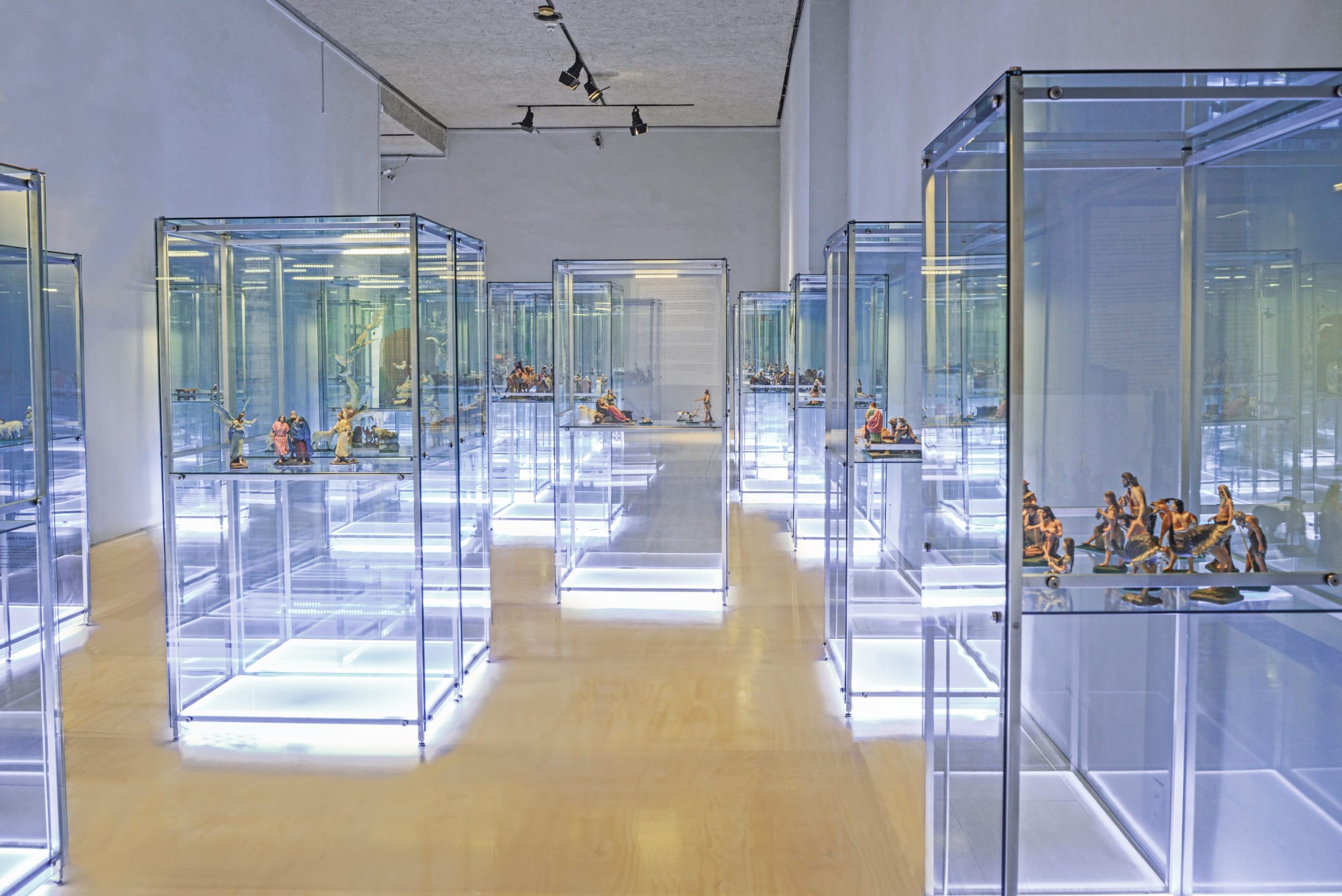 Nacimiento, miradas en el tiempo (2014)