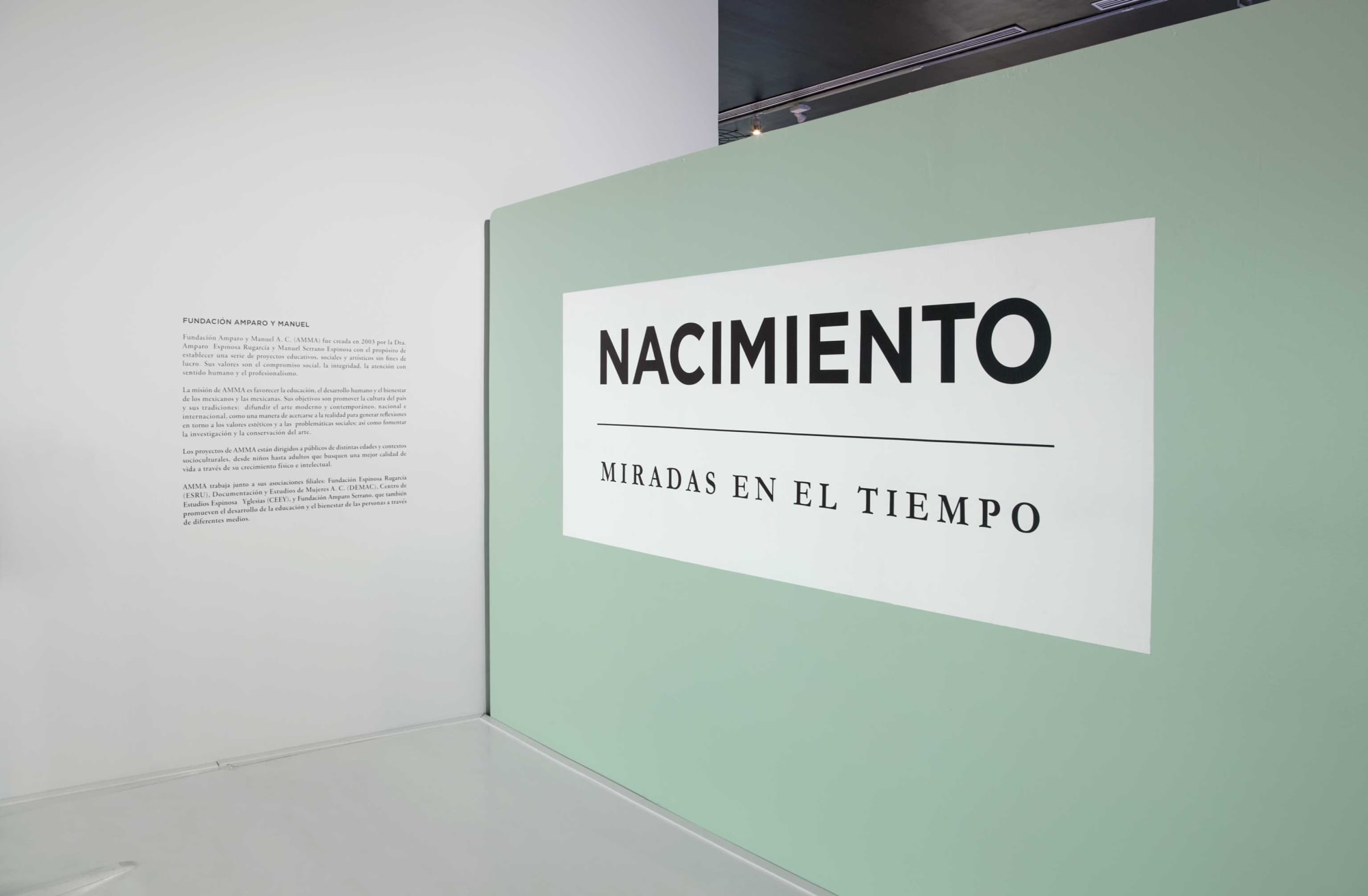 Nacimiento, miradas en el tiempo (2017)