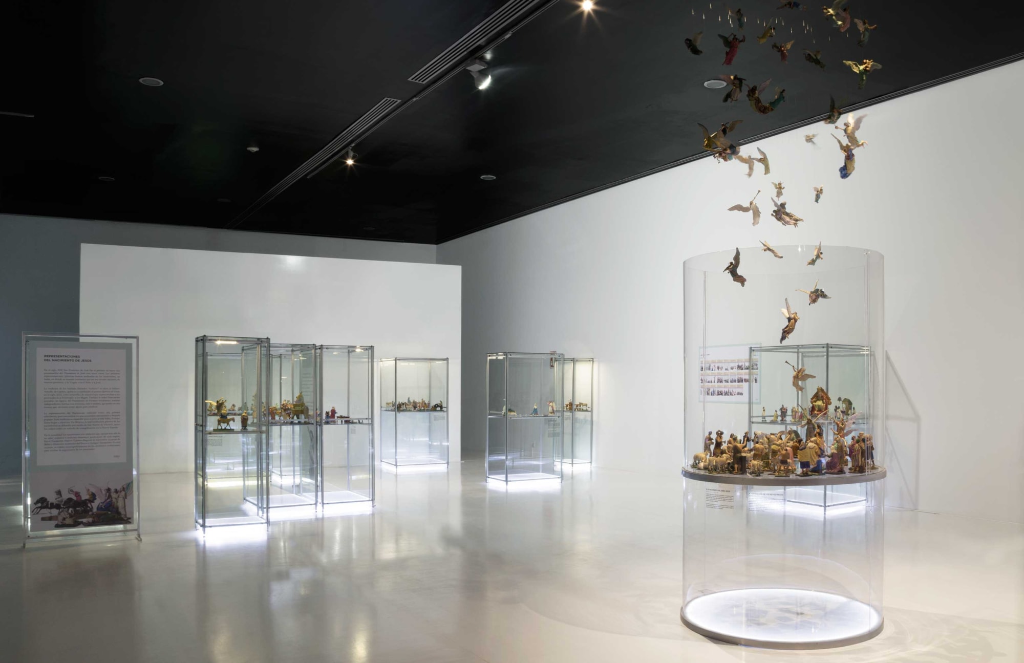 Nacimiento, miradas en el tiempo (2017)