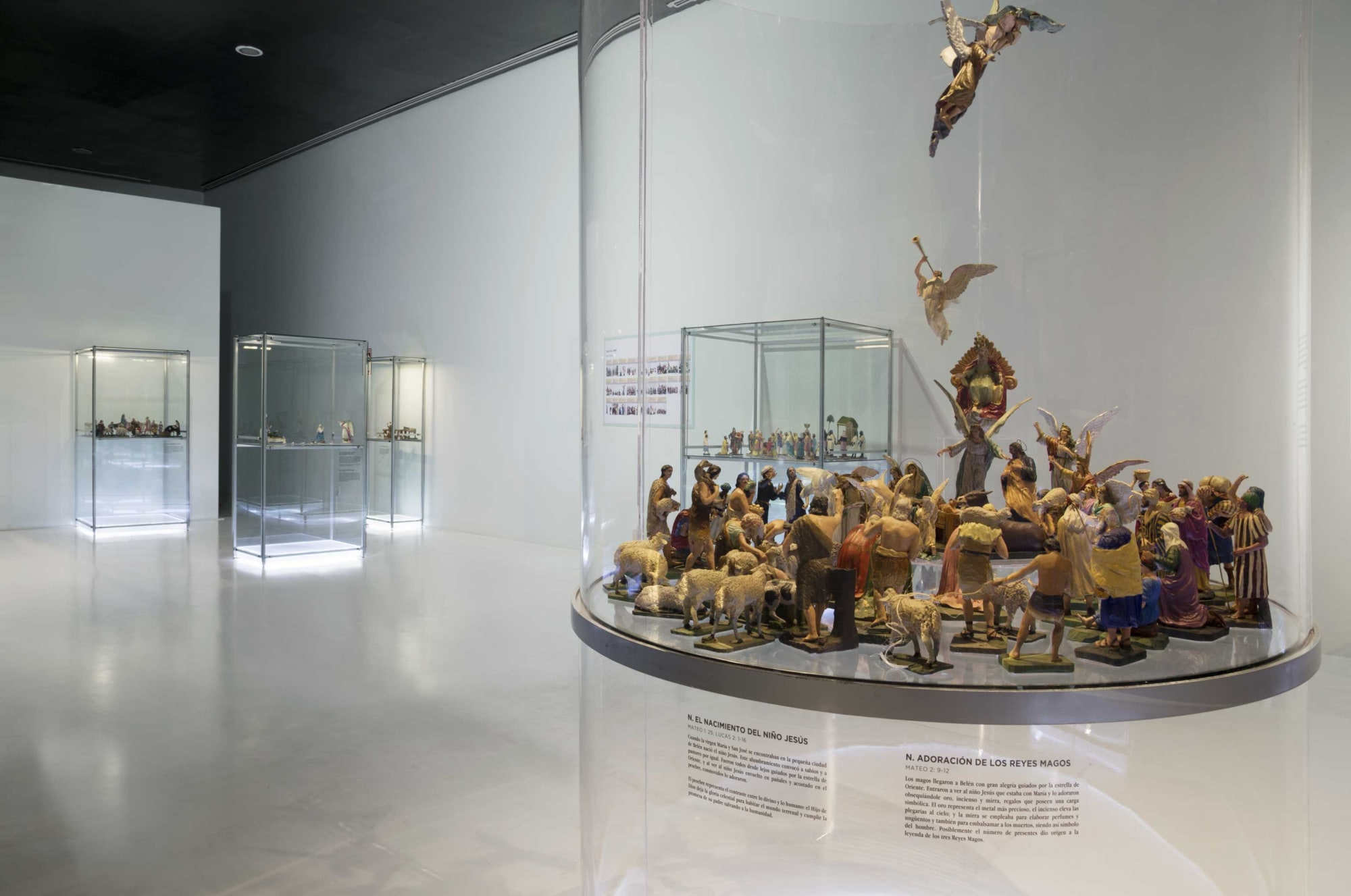 Nacimiento, miradas en el tiempo (2017)