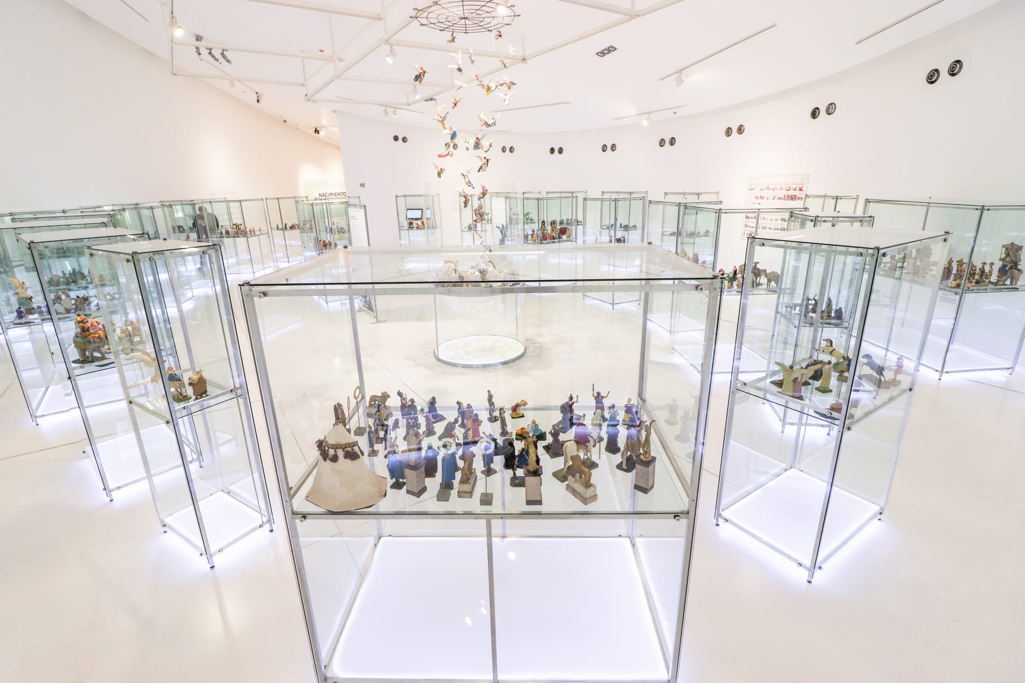 Nacimiento, miradas en el tiempo (2019)