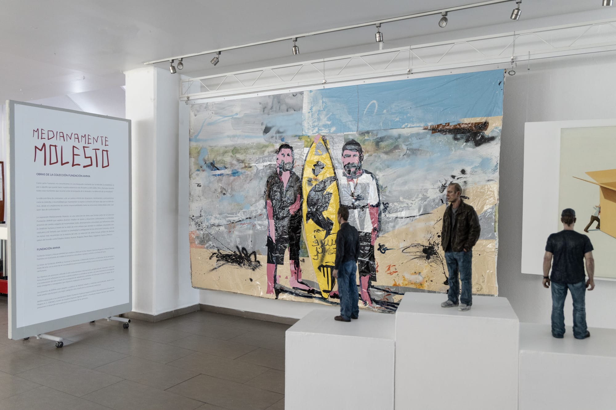 Medianamente Molesto: Obras de la Colección Fundación AMMA (2023)