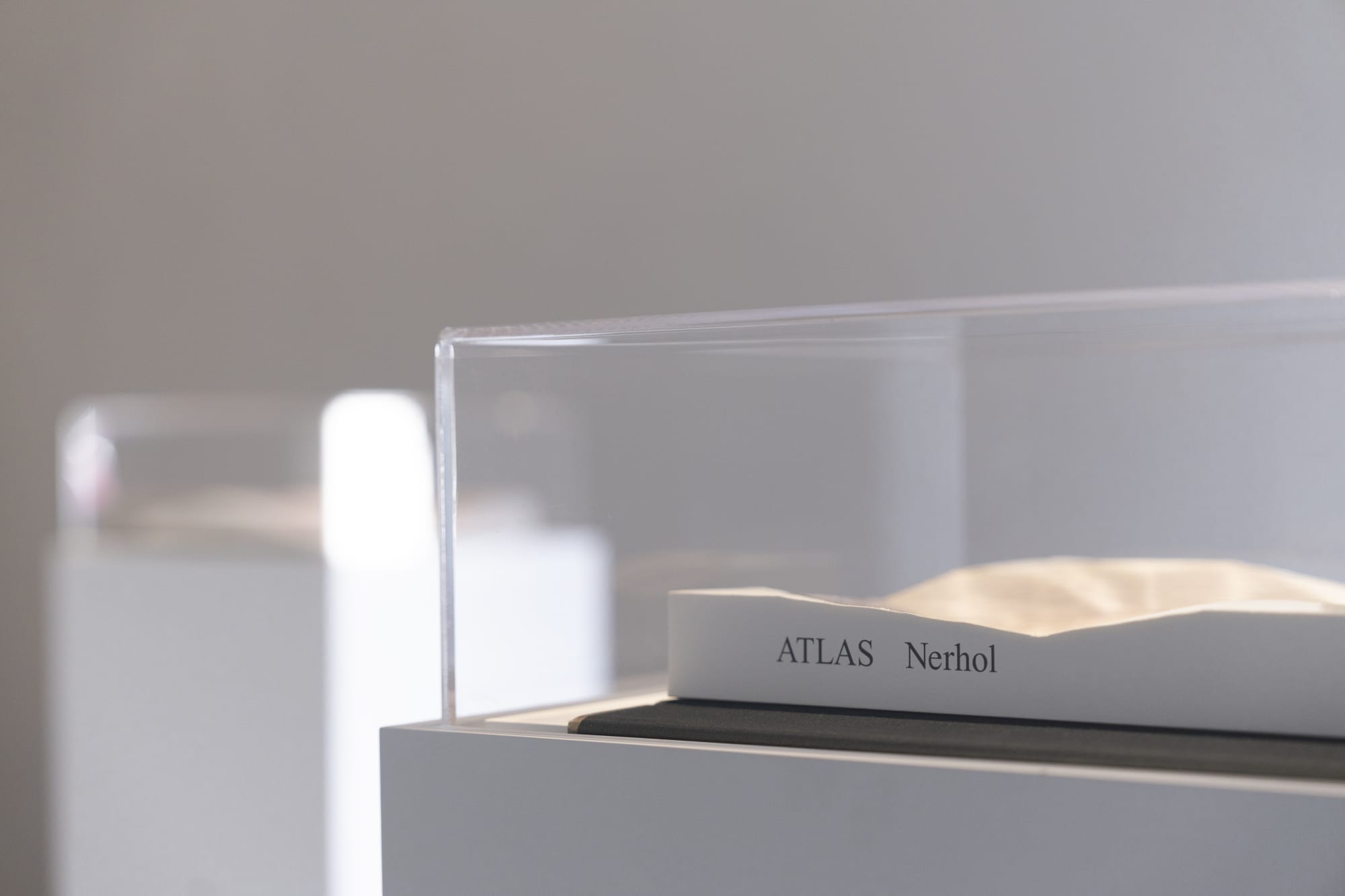 Nerhol: Beyond the Way (2024)