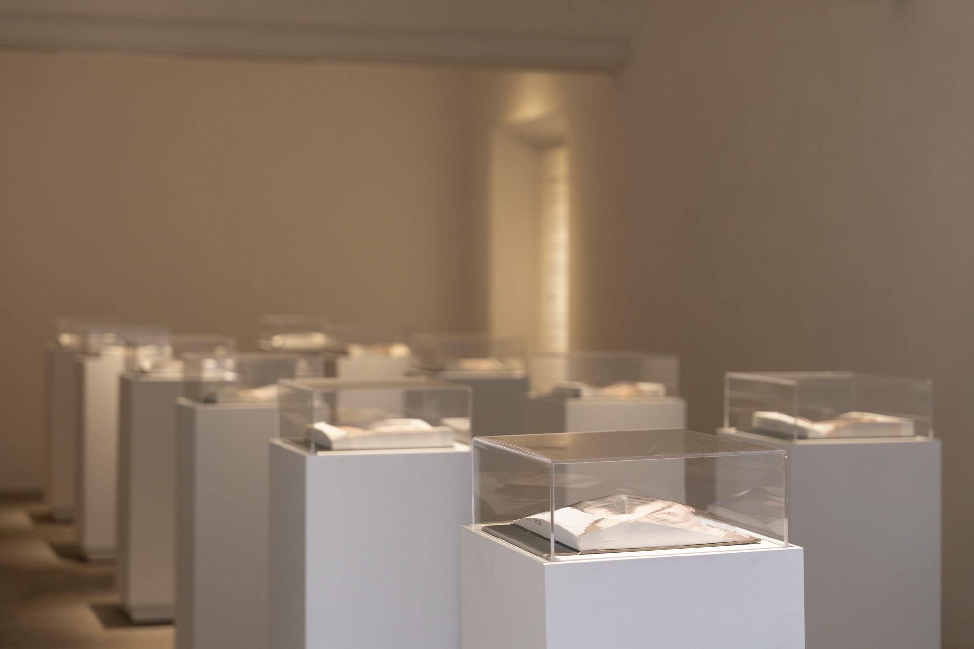 Nerhol: Beyond the Way (2024)