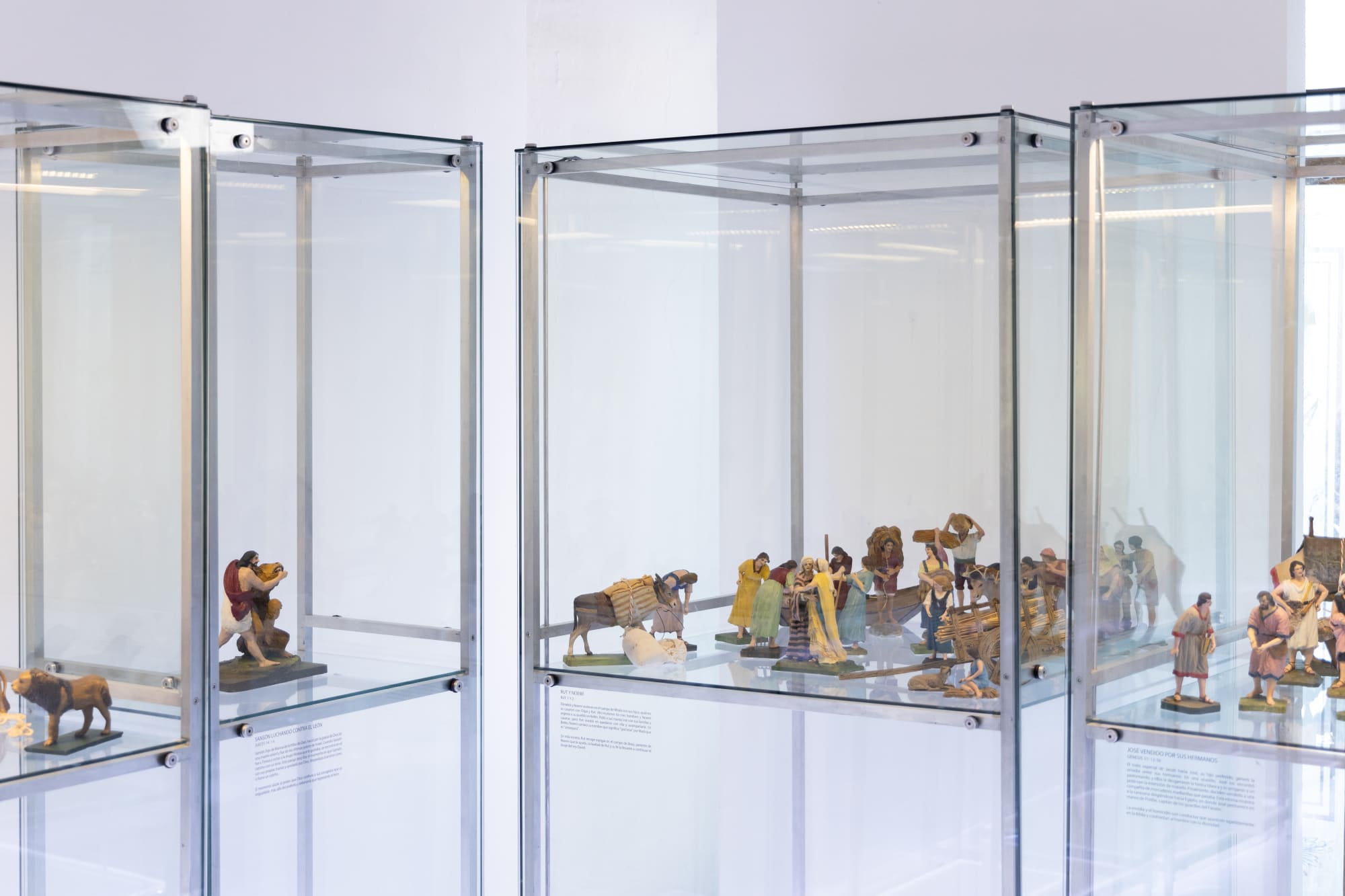 NACIMIENTO, MIRADAS EN EL TIEMPO (2024)