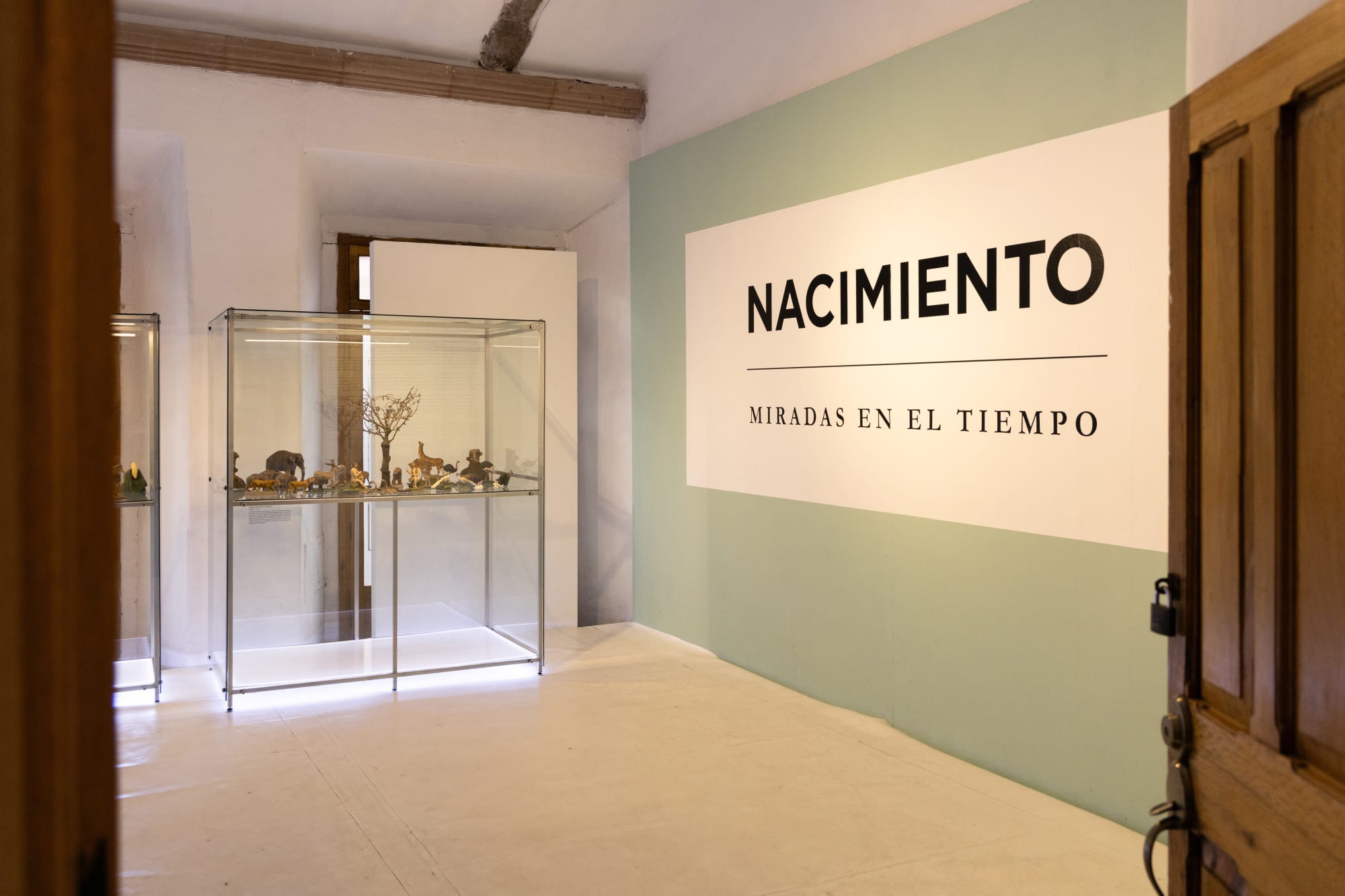 NACIMIENTO, MIRADAS EN EL TIEMPO (2024)