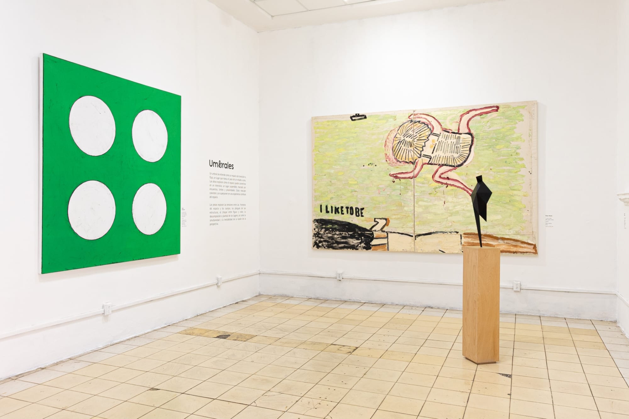 ¿Cómo mirar lo (in)visible?