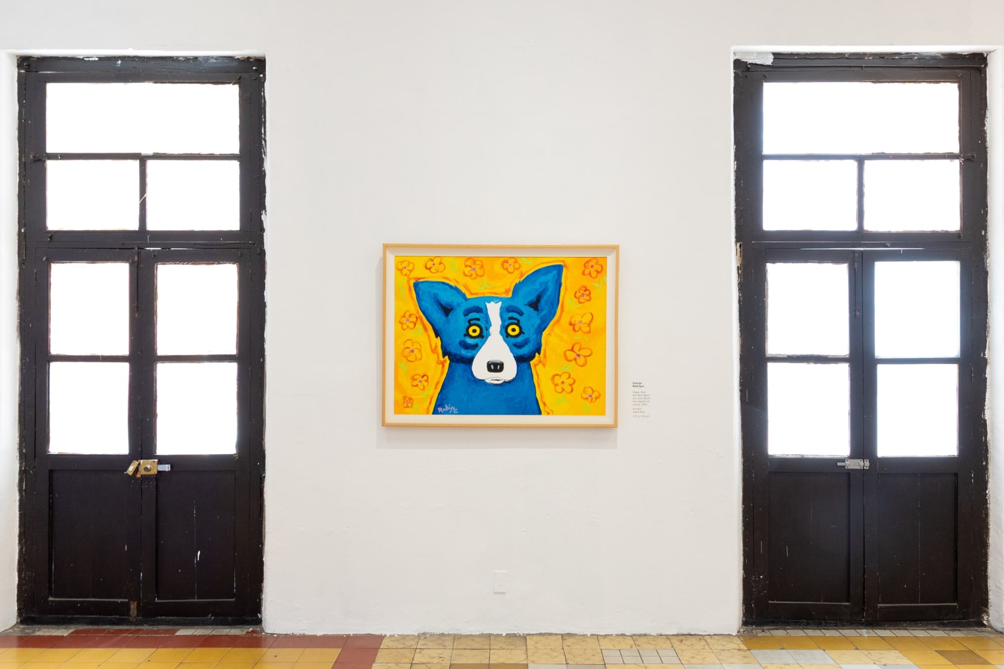 ¿Cómo mirar lo (in)visible?