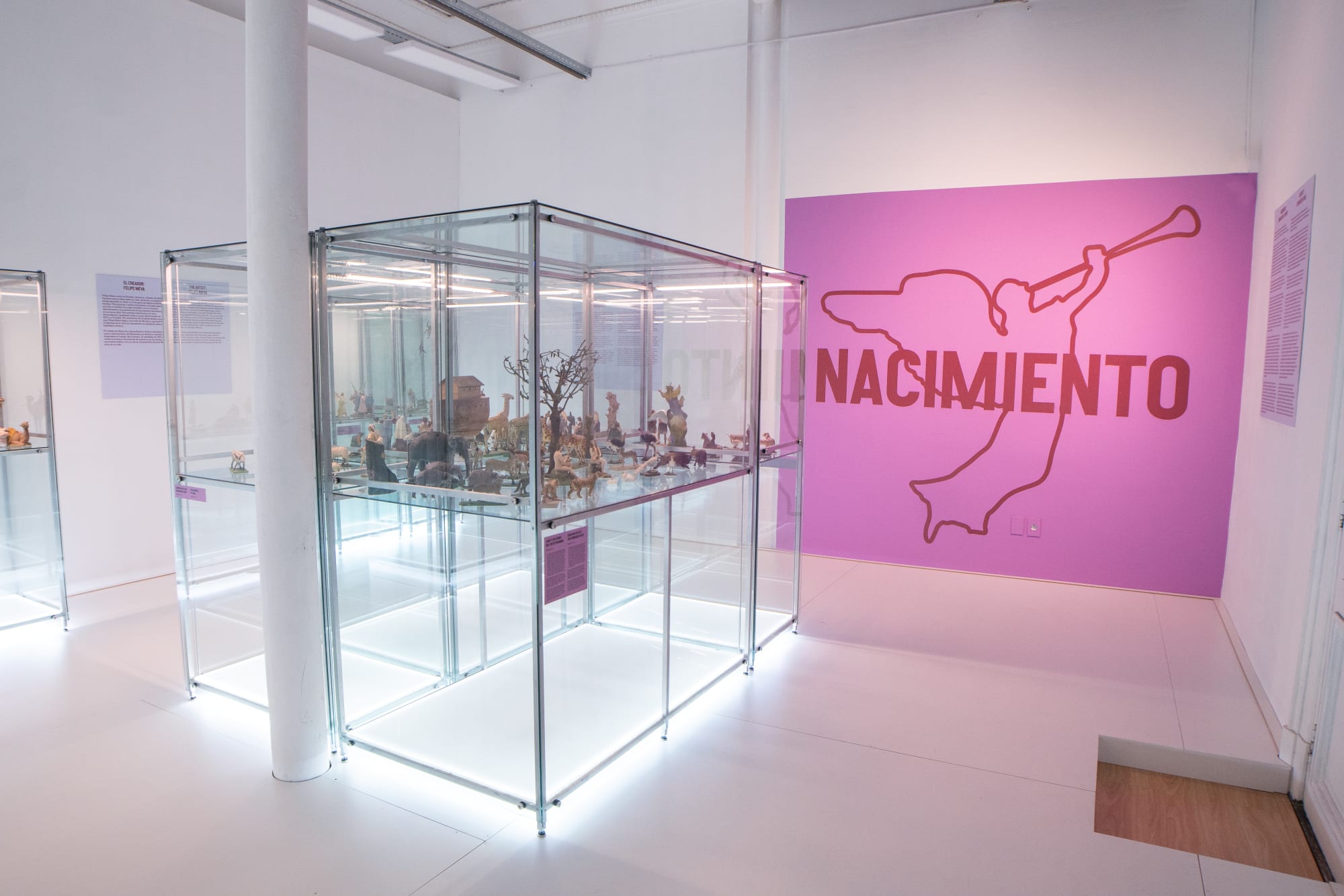 Nacimiento. Miradas en el Tiempo (2025)