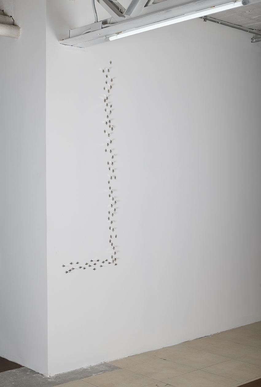 Mario García Torres Sem título [Untitled], n. d. prata [silver] 1.5 x 1 x 1 cm cada [each] foto [photo]: Omar Bocanegra