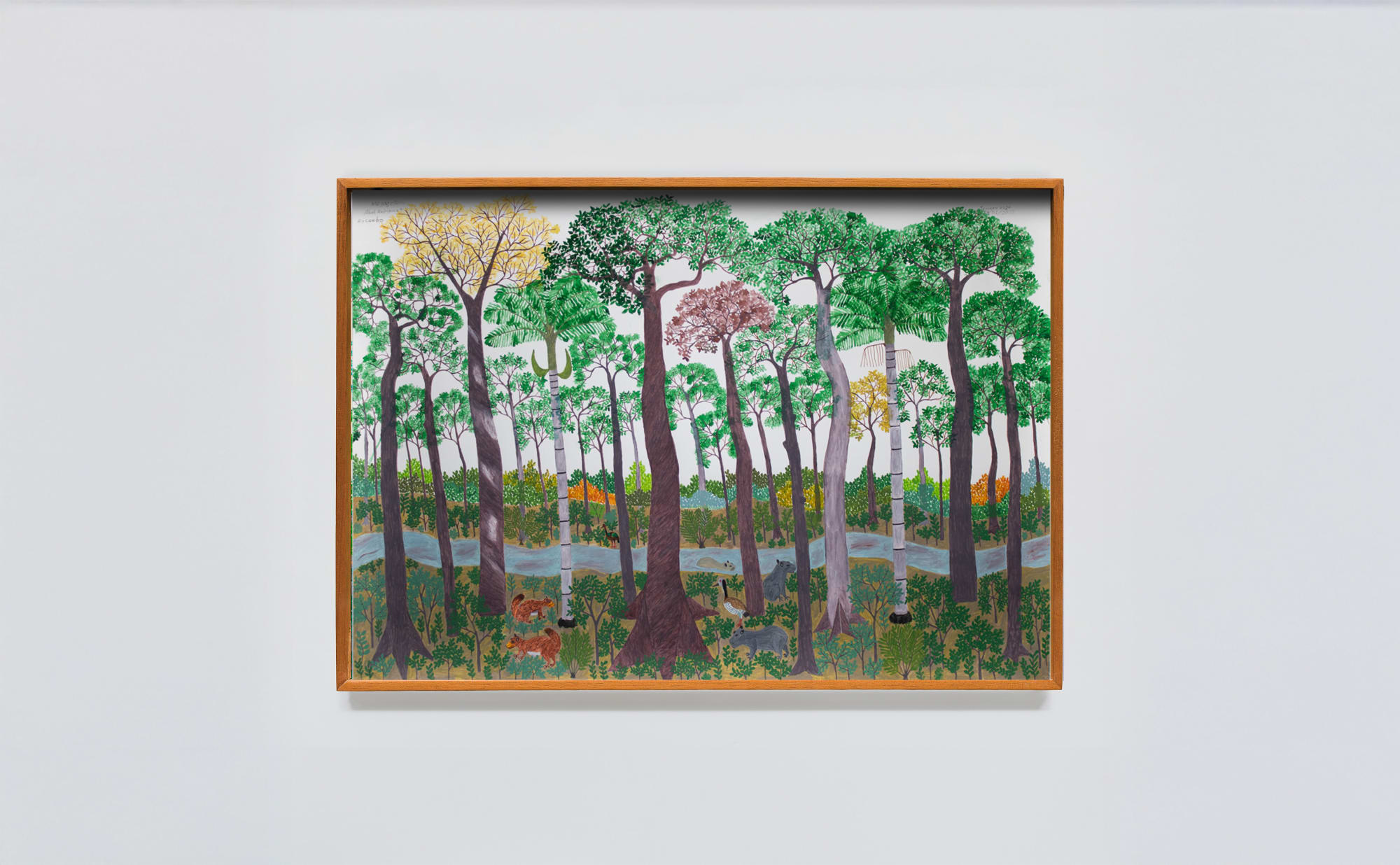 ABEL RODRÍGUEZ + AYCOOBO