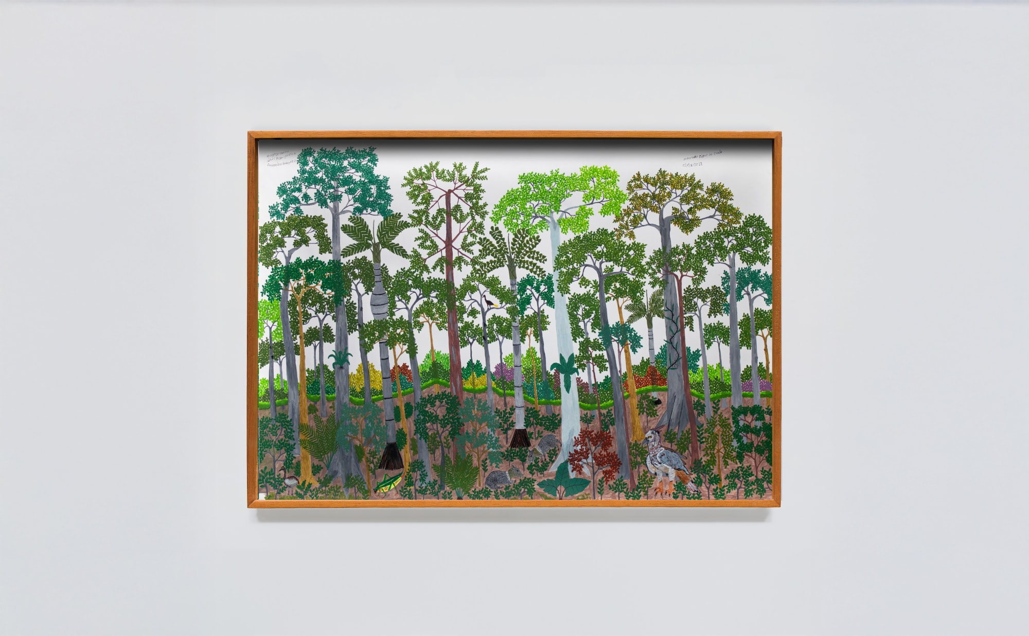 ABEL RODRÍGUEZ + AYCOOBO