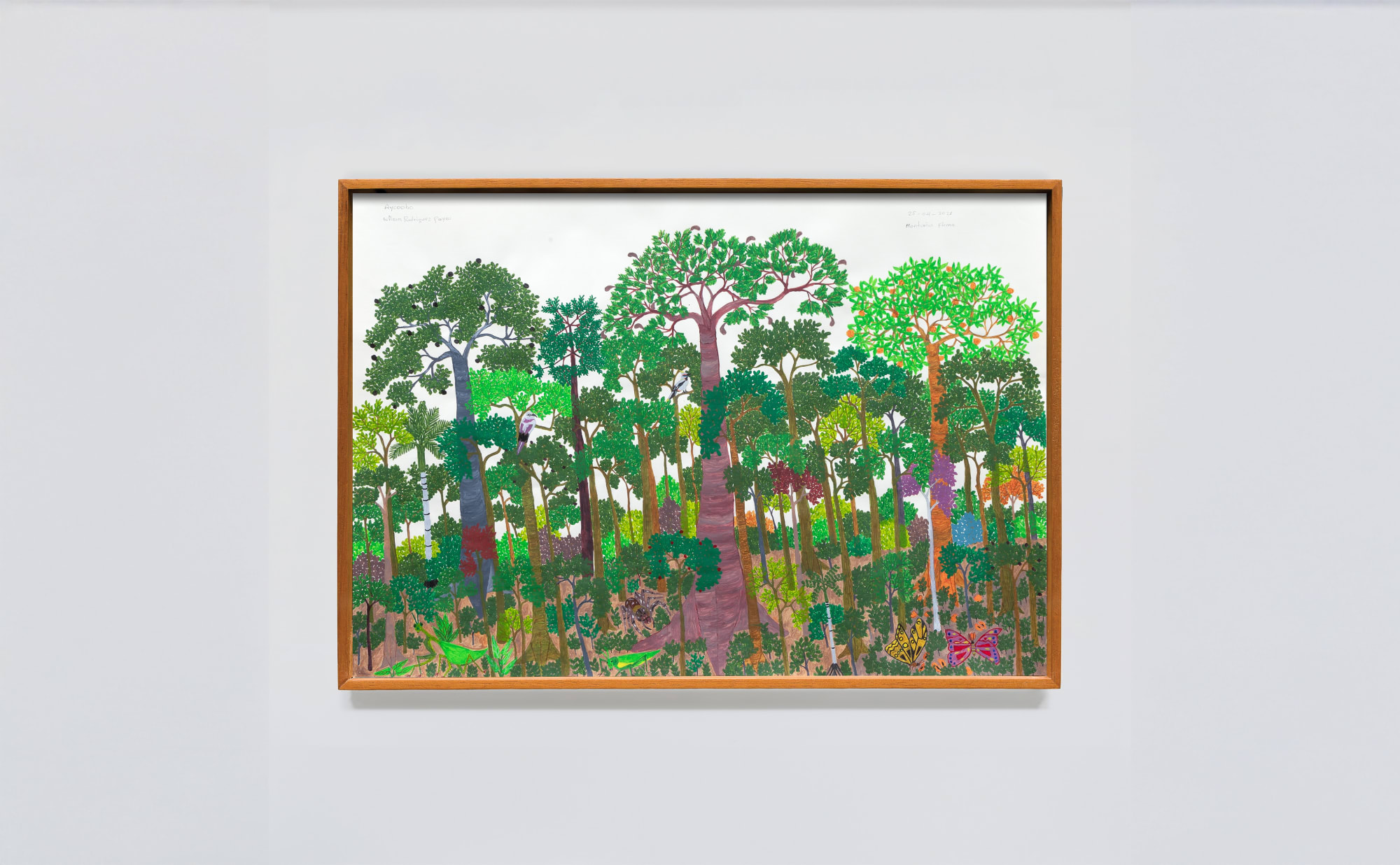 ABEL RODRÍGUEZ + AYCOOBO