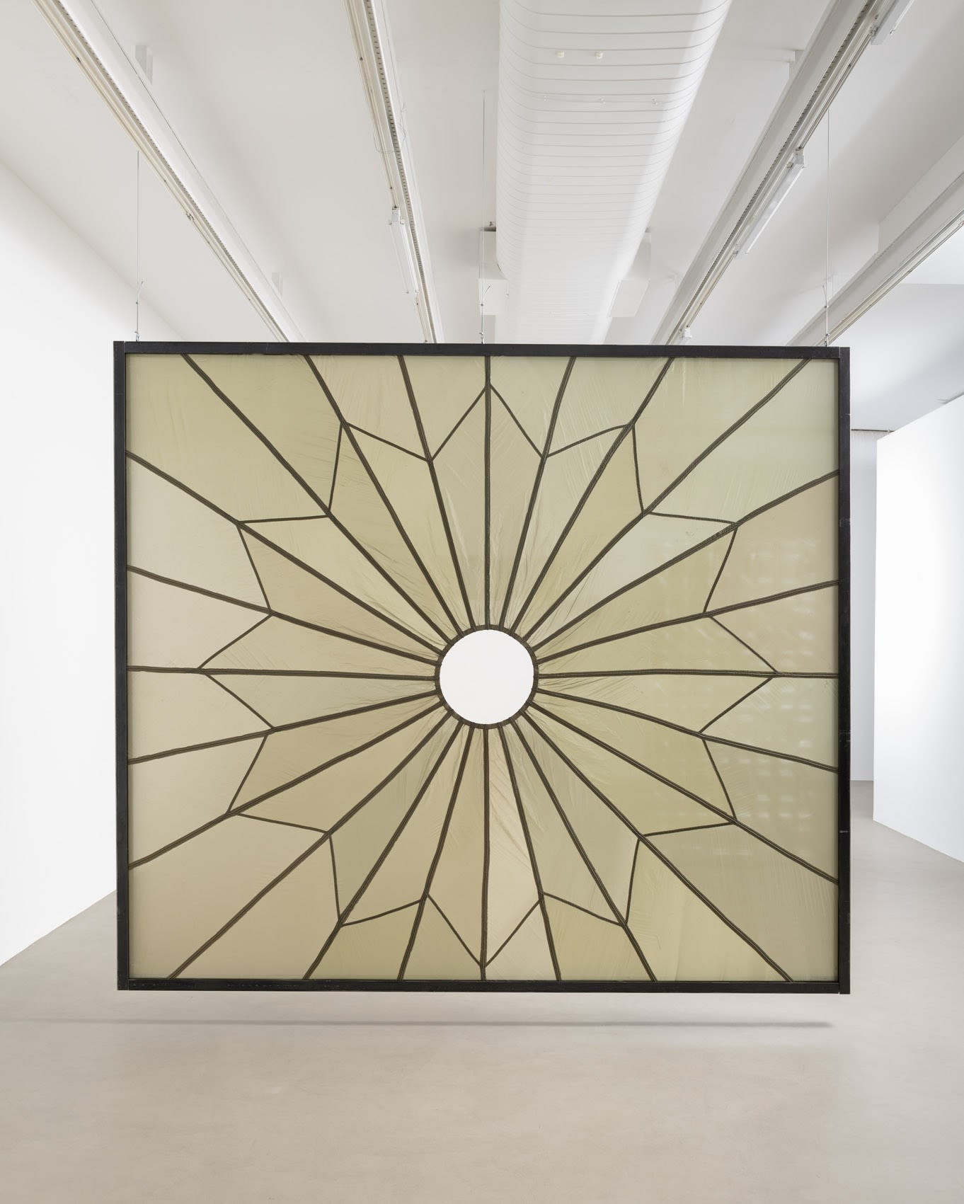 Crivo, a perspectiva de Luisa Strina