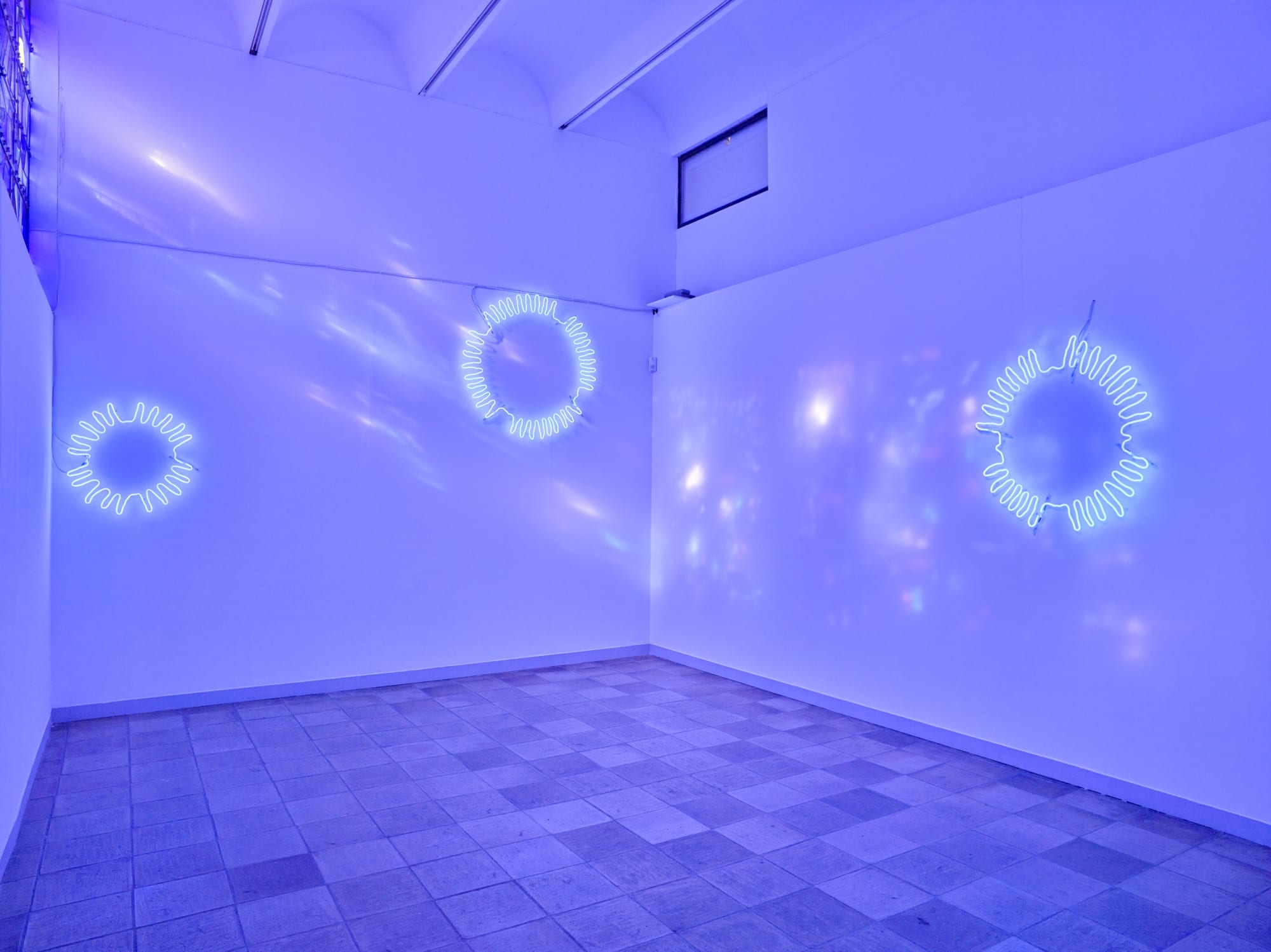 Sempervivum Fondation Maeght, 2017 ©François Fernandez