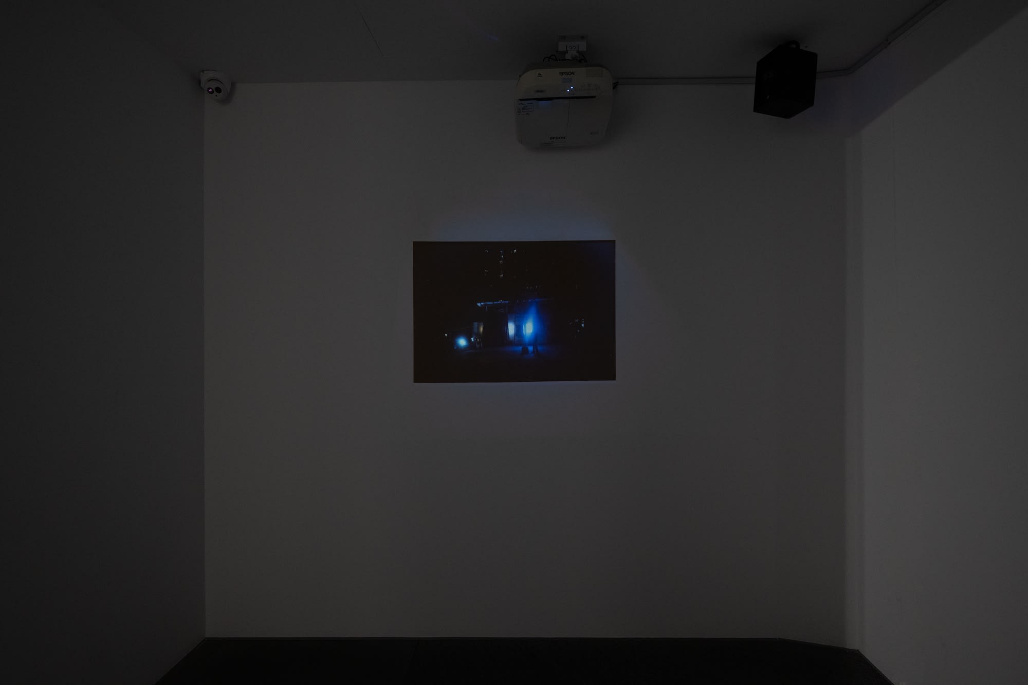 Tang Kwong San - Rootstock