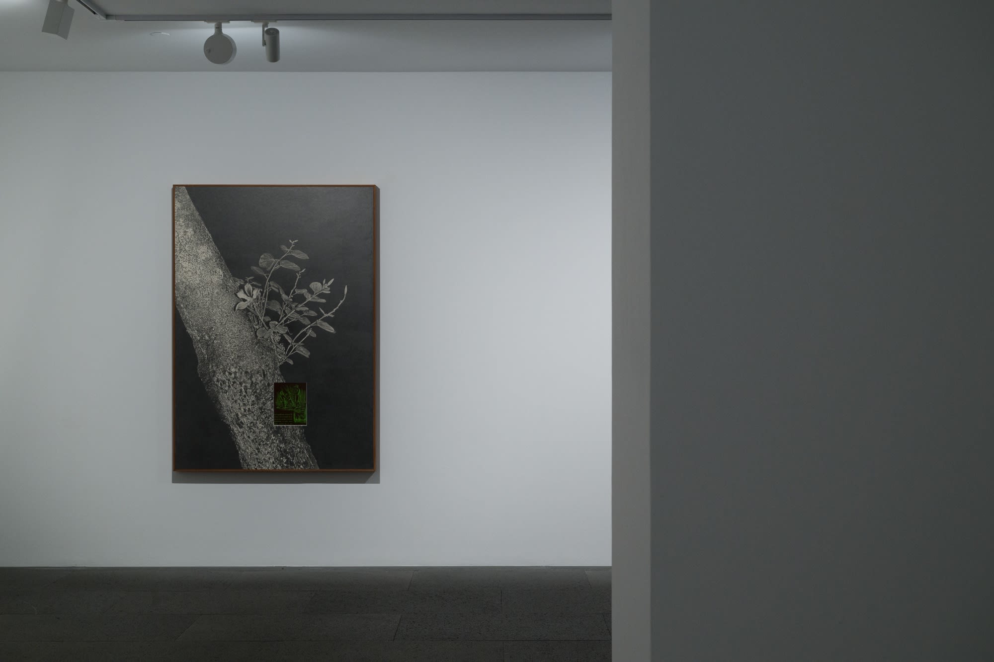 鄧廣燊《砧木》