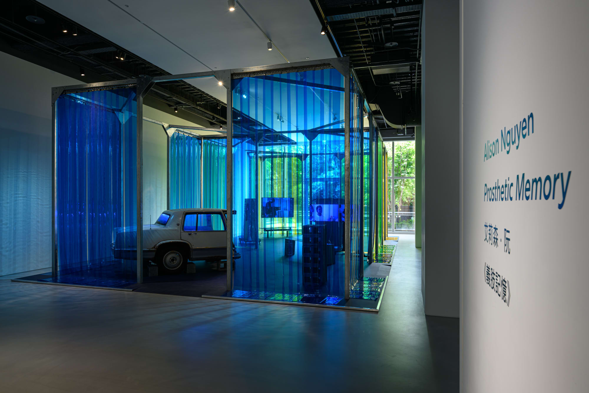 Alison Nguyen: Prosthetic Memory