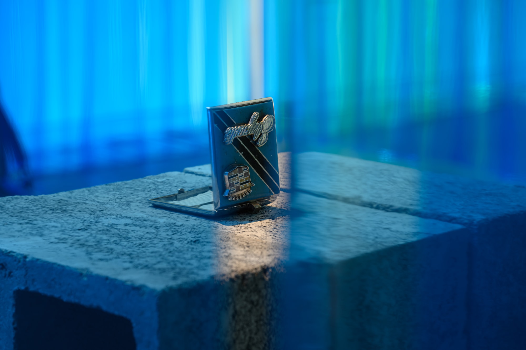 Alison Nguyen: Prosthetic Memory