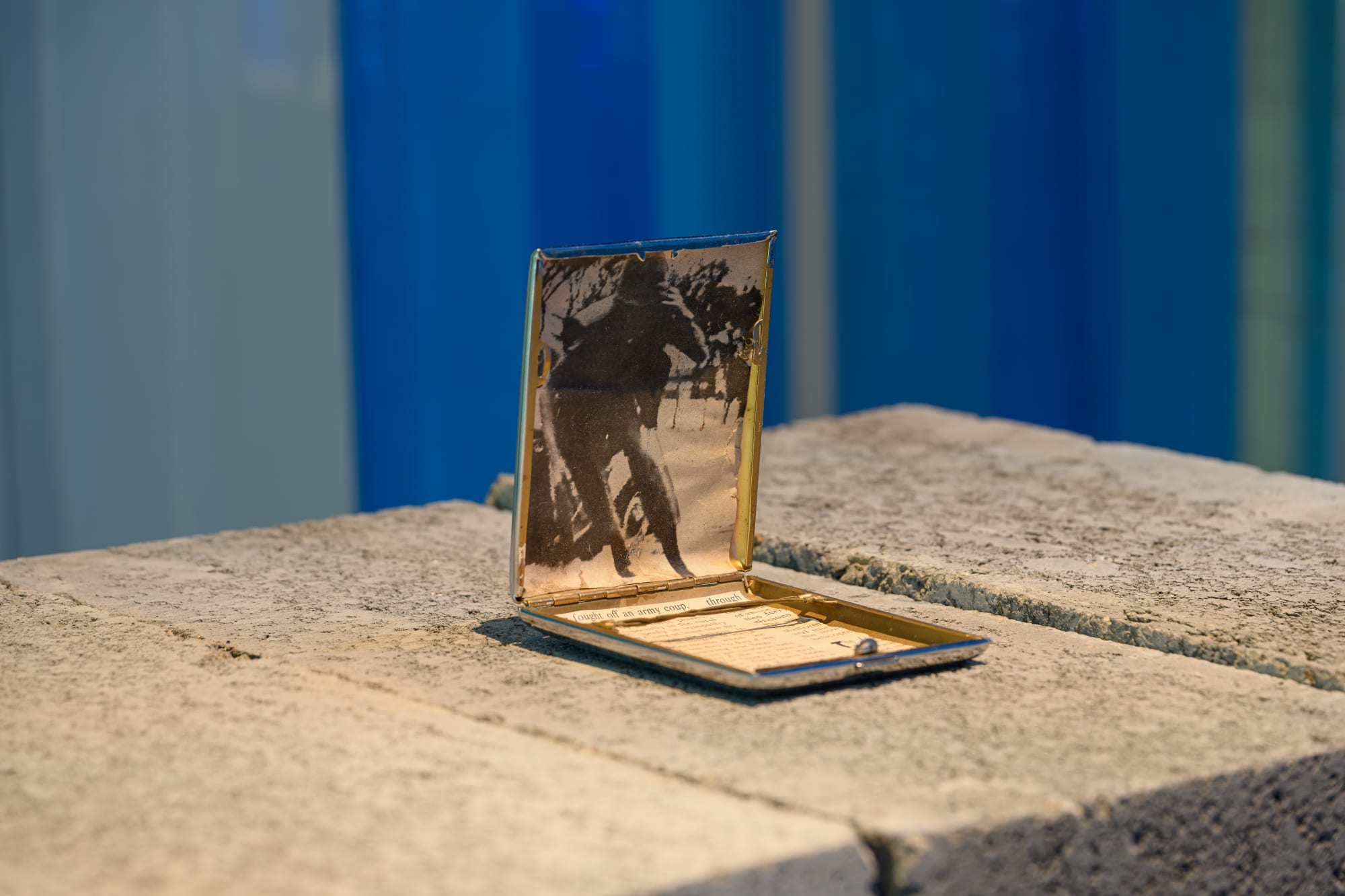 Alison Nguyen: Prosthetic Memory