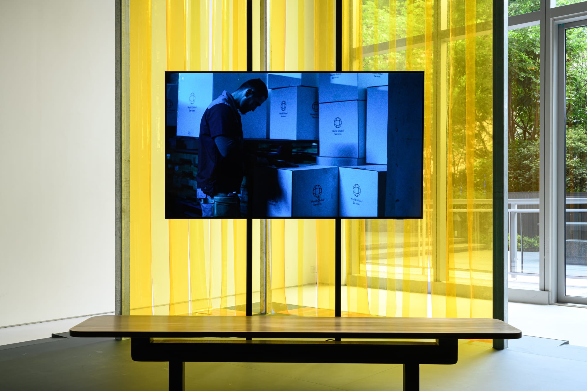 Alison Nguyen: Prosthetic Memory