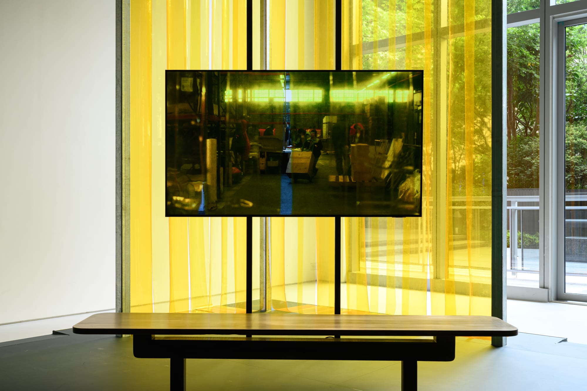 Alison Nguyen: Prosthetic Memory