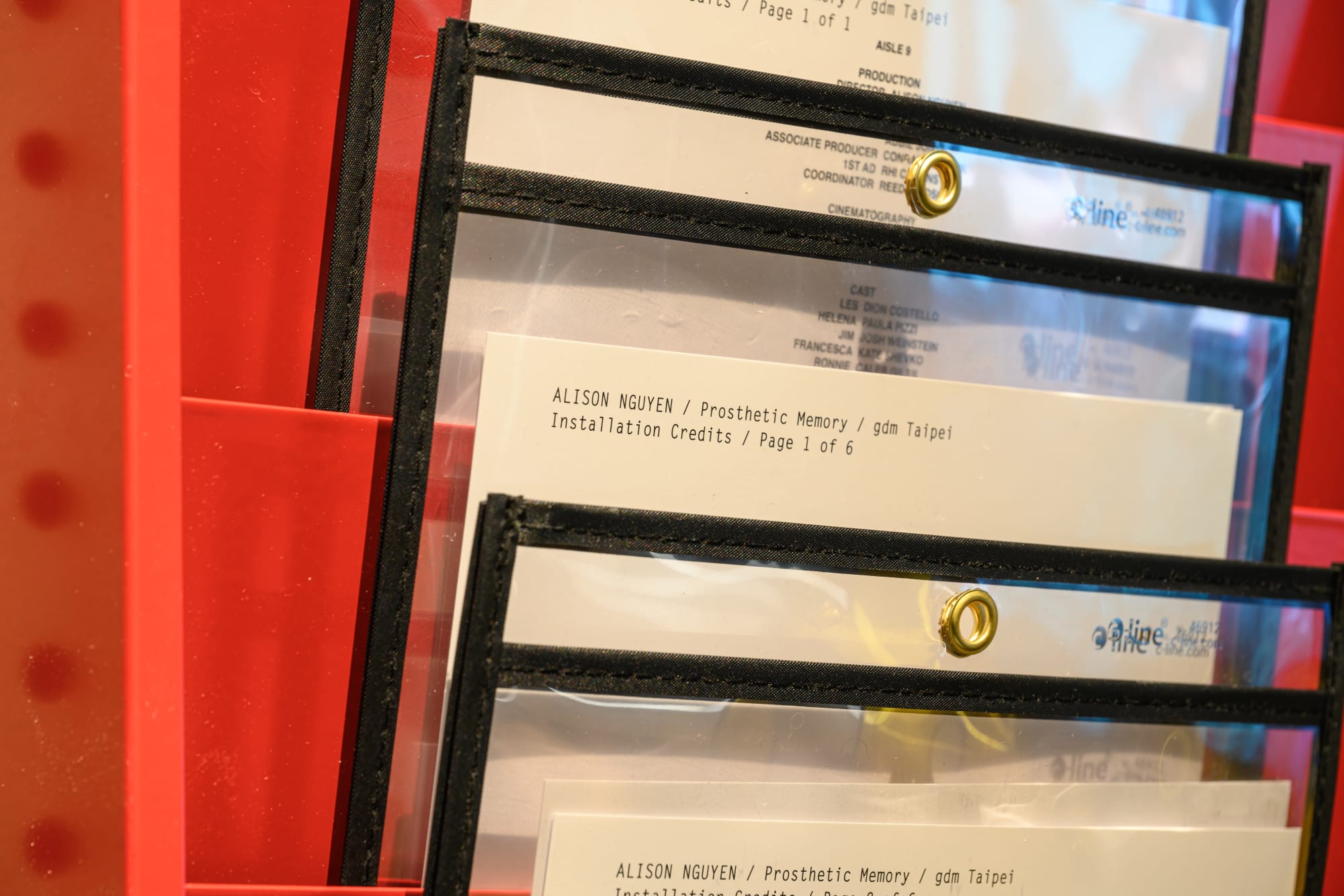 Alison Nguyen: Prosthetic Memory