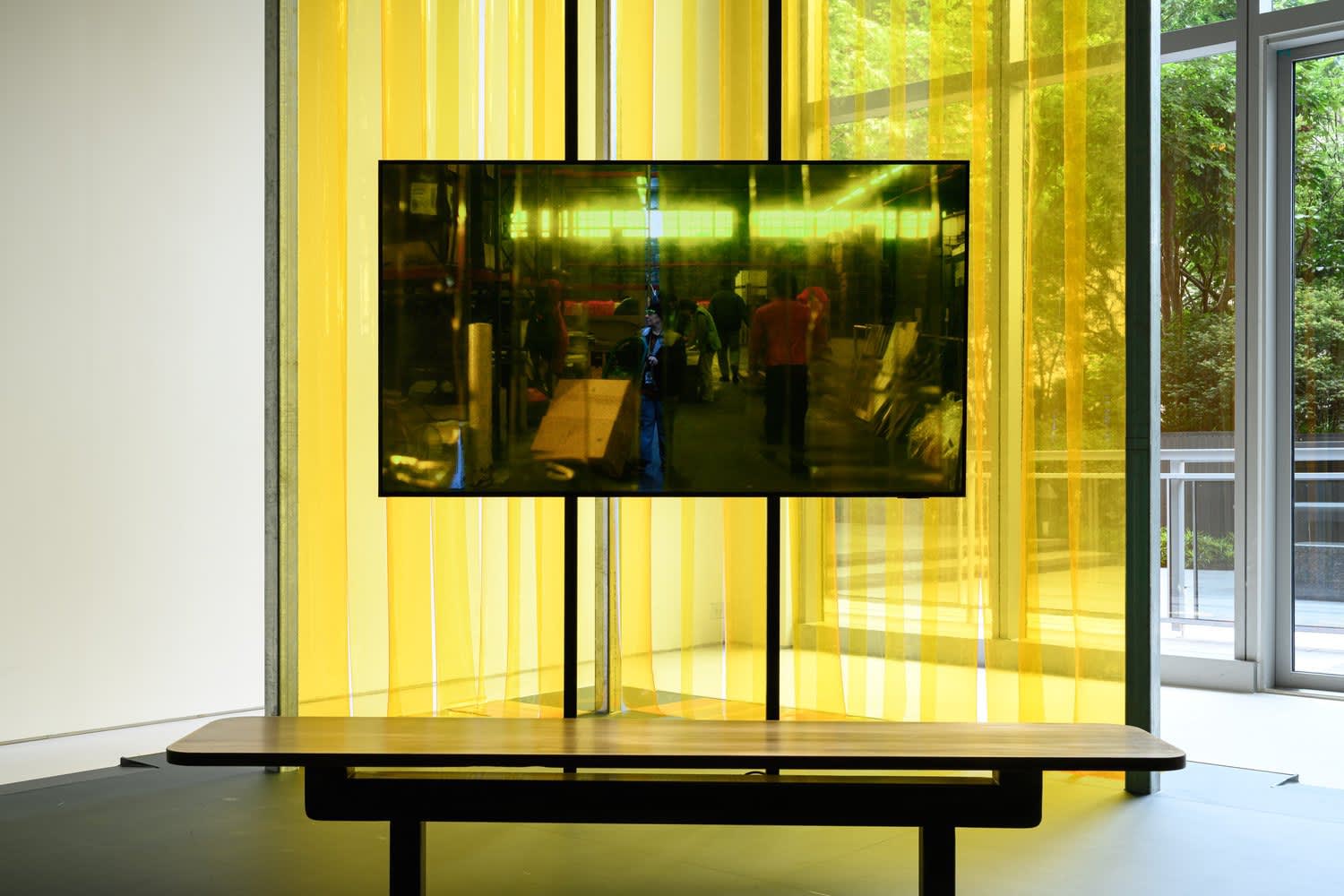 Alison Nguyen: Prosthetic Memory