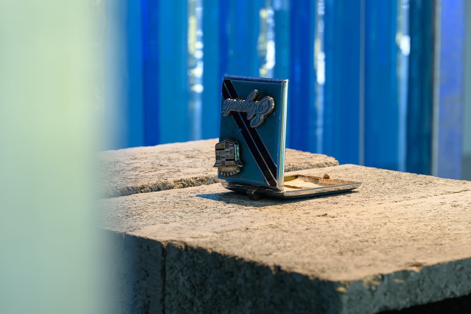 Alison Nguyen: Prosthetic Memory