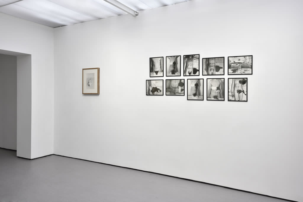 Performing Arts in Vienna in the 1960's