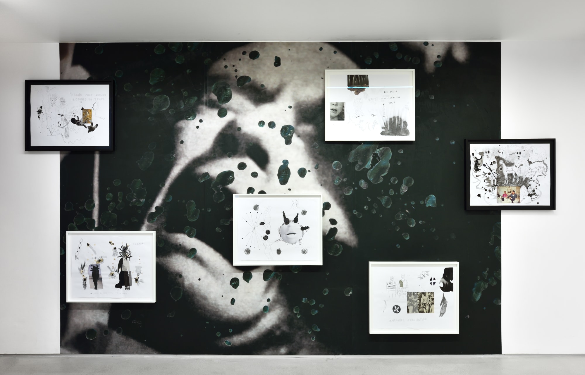 Hélène Delprat Moi qui adore Barnett Newman, on peut dire qu'on est loin ! 09.09-21.10.2017