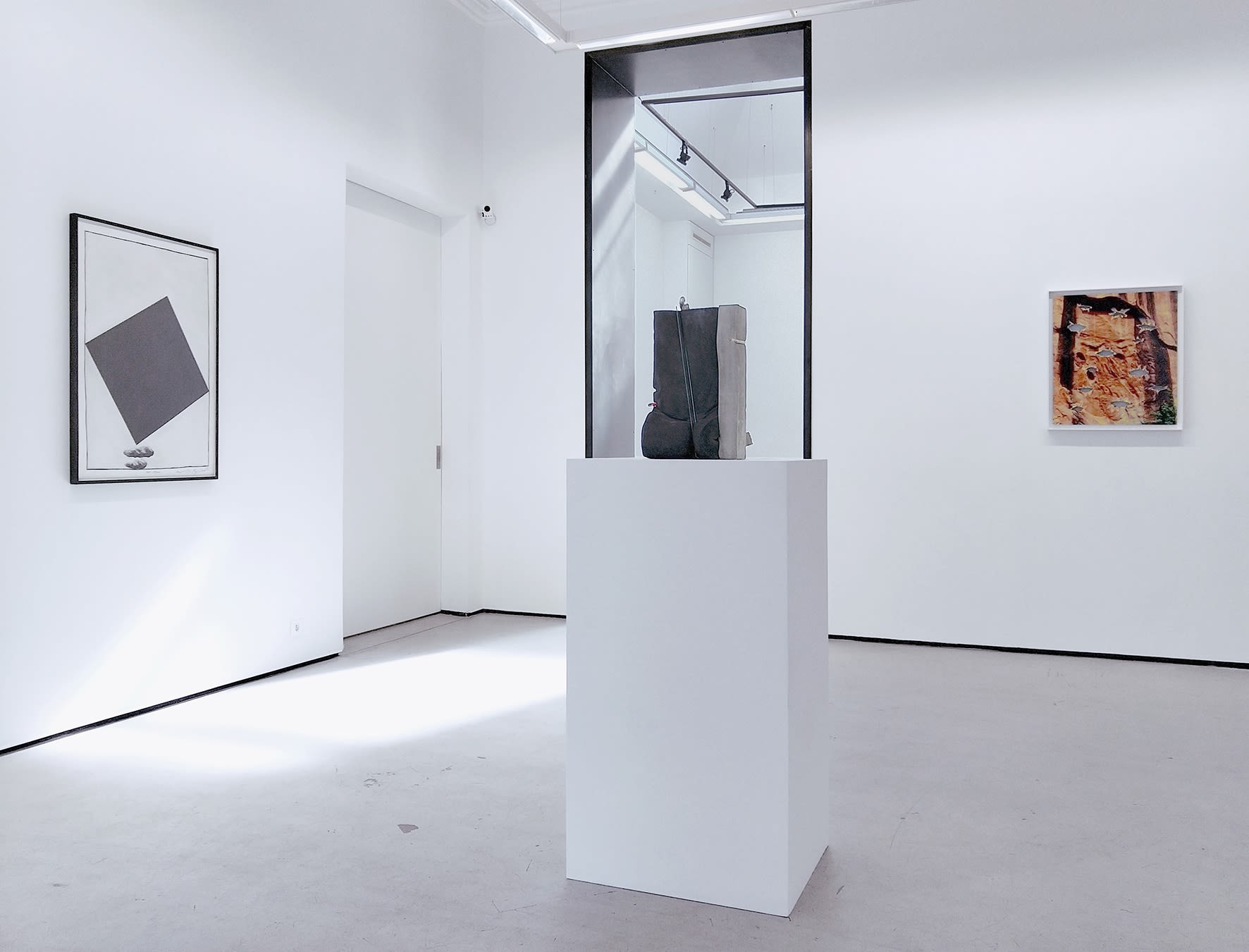 g = 9,8 N.kg-1 Dave HARDY, Keiji UEMATSU & Letha WILSON