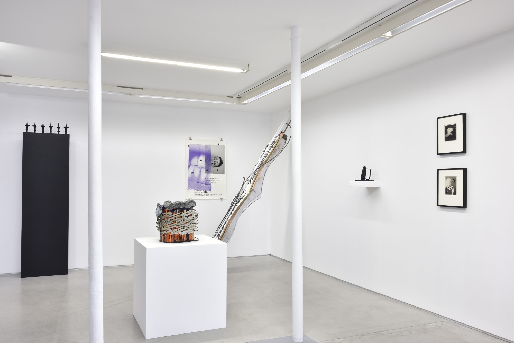 Dans l'œil de Daniel Pommereulle