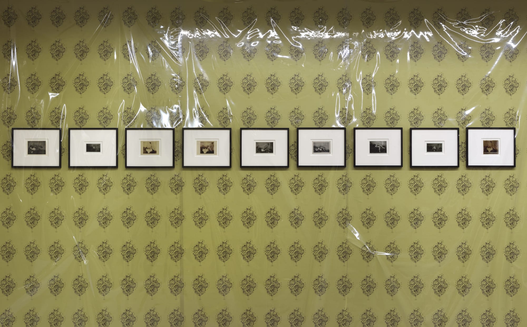 Photo © Rebecca Fanuele