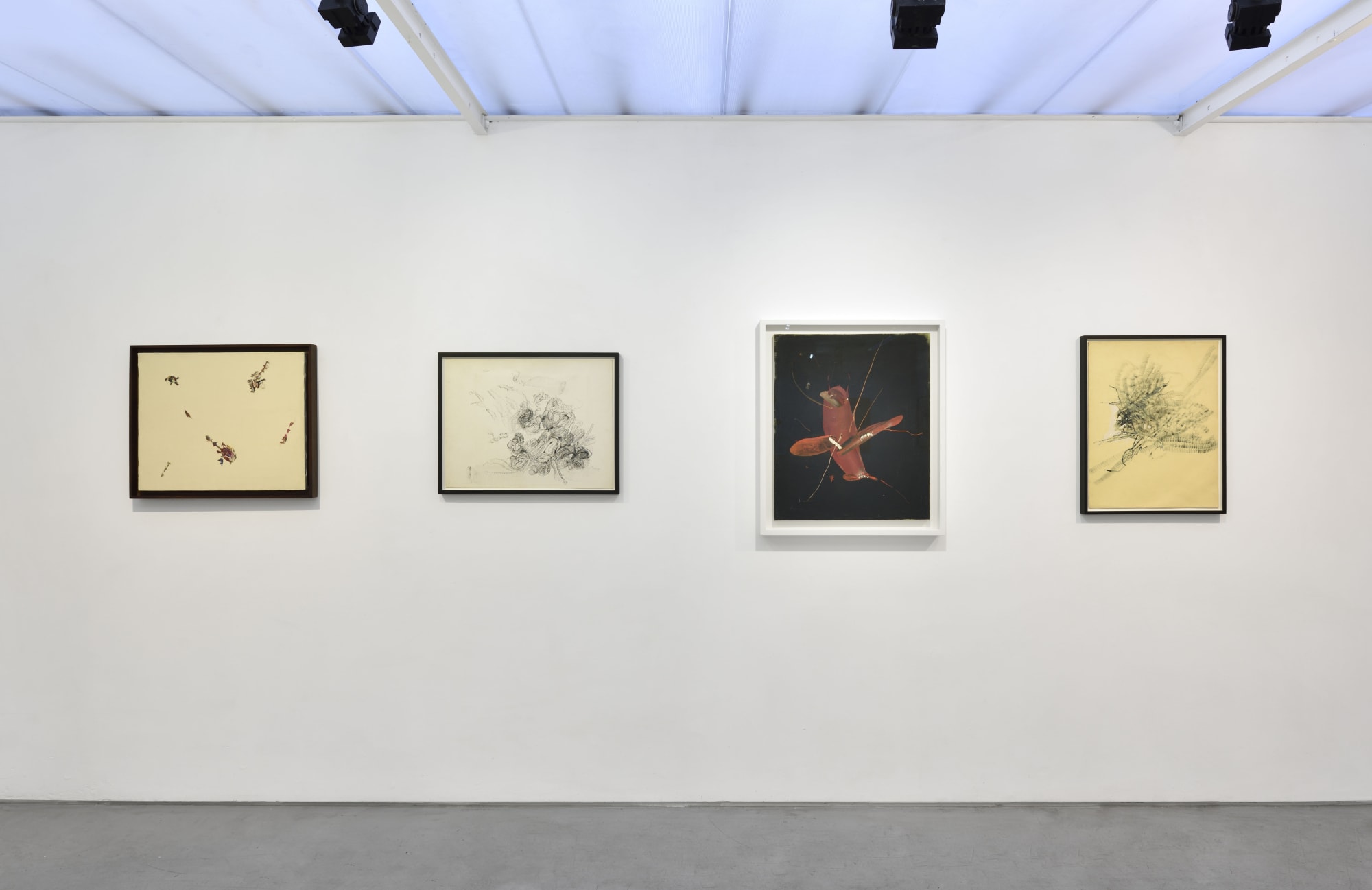 Vue de l'exposition "Bernard Réquichot, Les Requichot de Cordier" Photo © Rebecca Fanuele