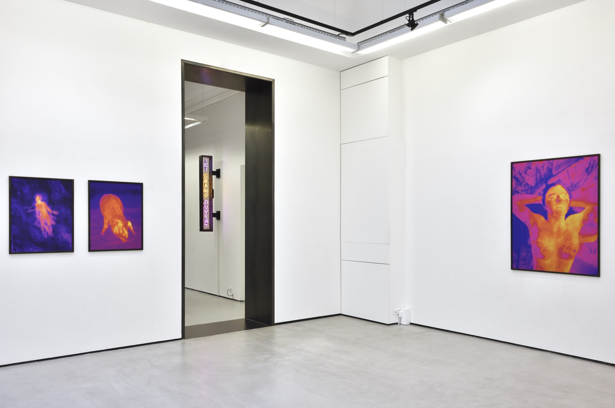 Photo © Rebecca Fanuele